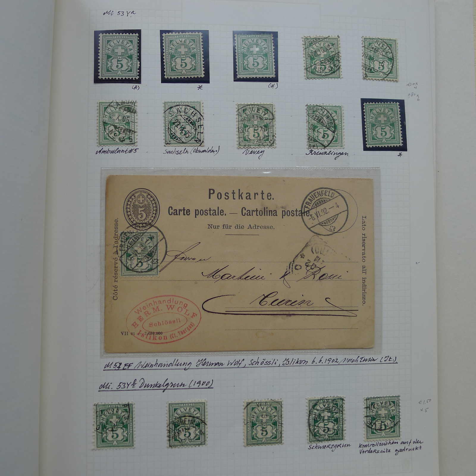 Image 11 for lot number 0003000920 for Luzernerraute Webshop 
