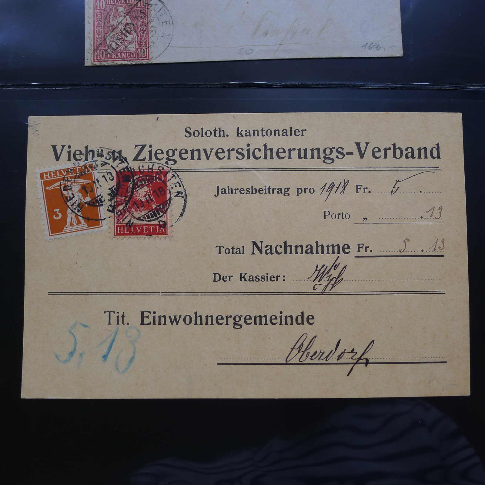 Image 15 for lot number 0003000980 for Luzernerraute Webshop 