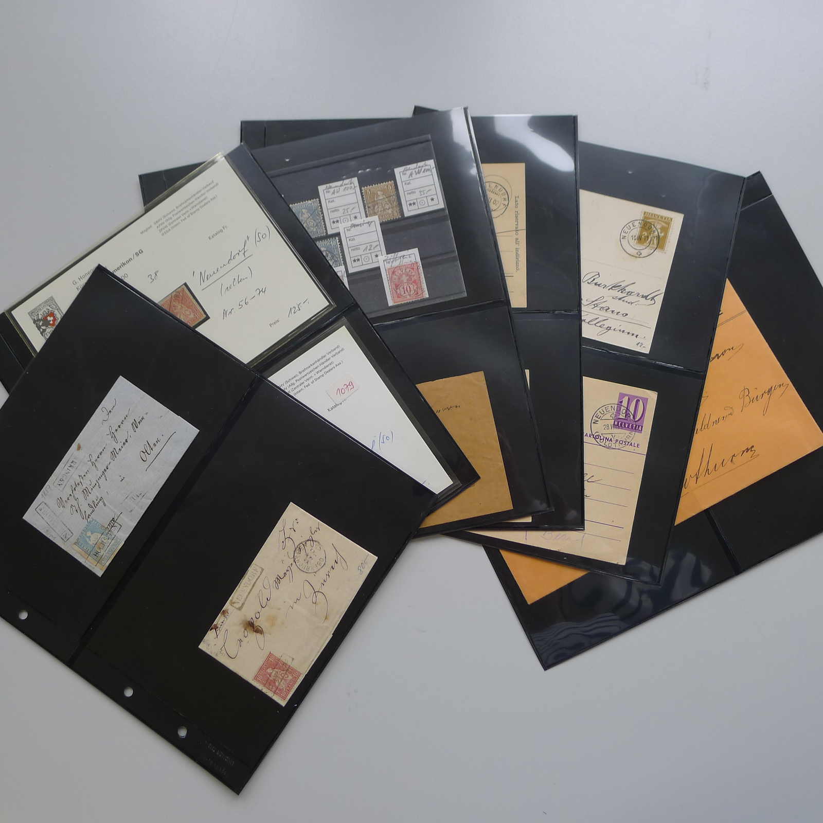Image 1 for lot number 0003000983 for Luzernerraute Webshop 