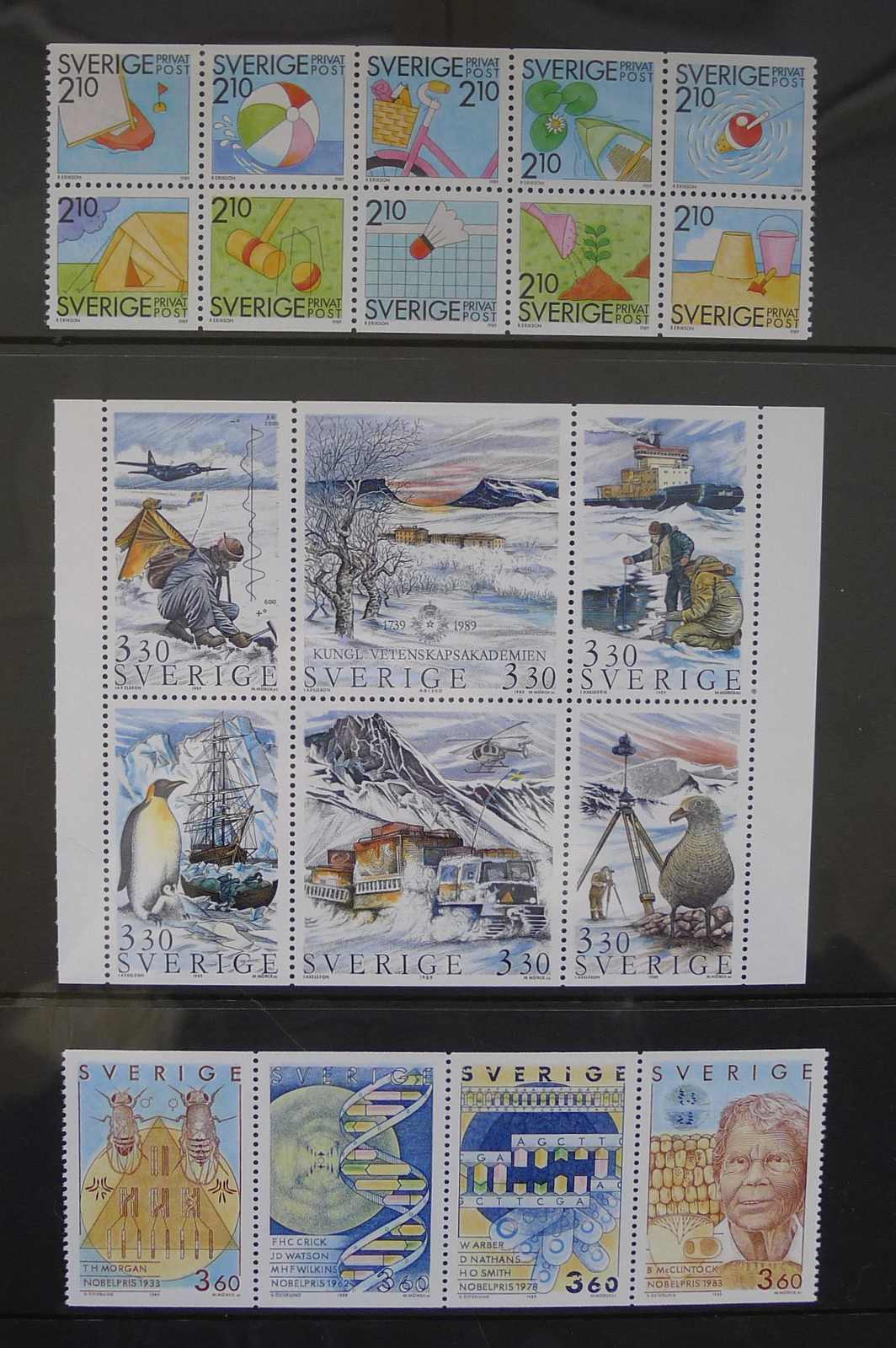 Image 13 for lot number 0003001148 for Luzernerraute Webshop 