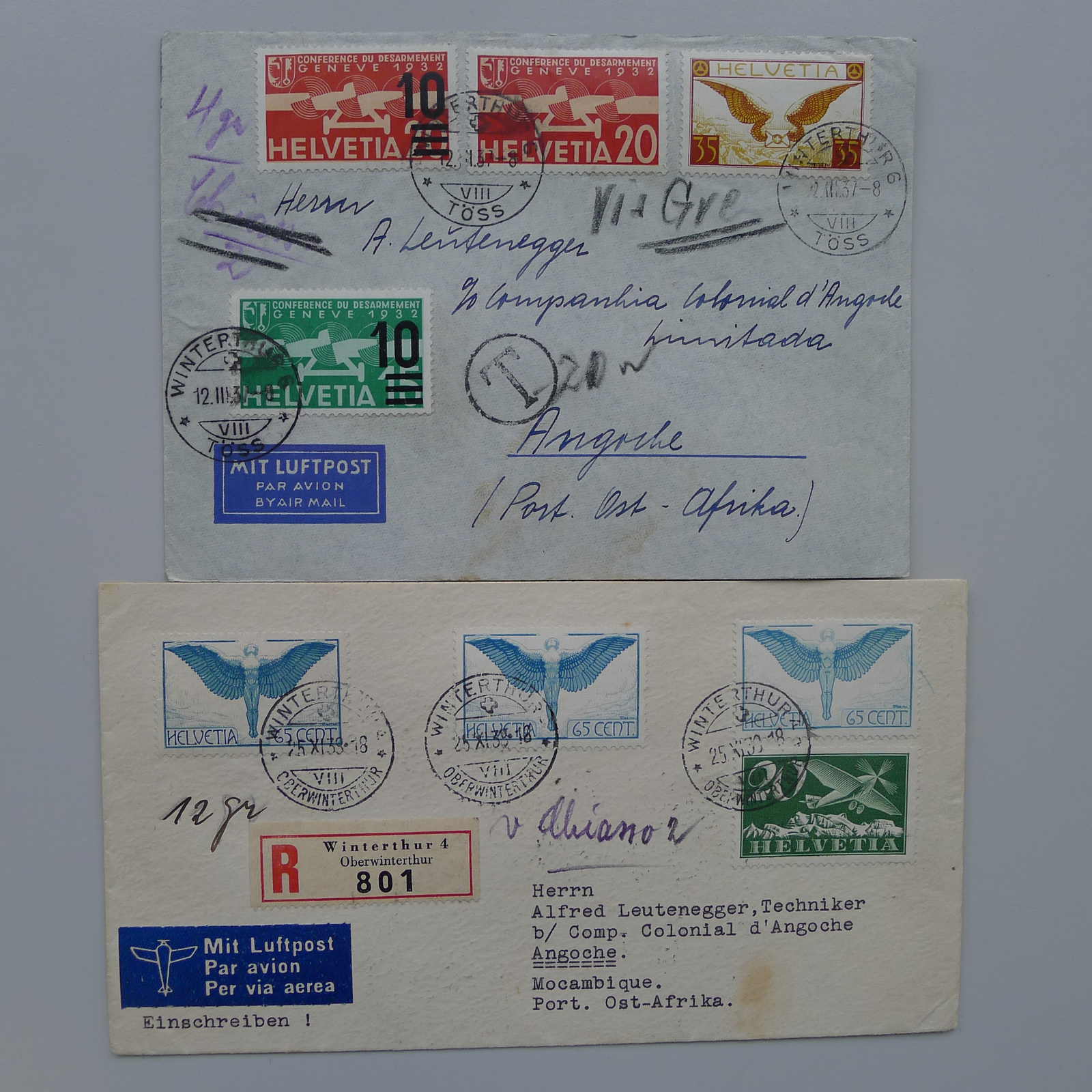 Image 2 for lot number 0003001167 for Luzernerraute Webshop 