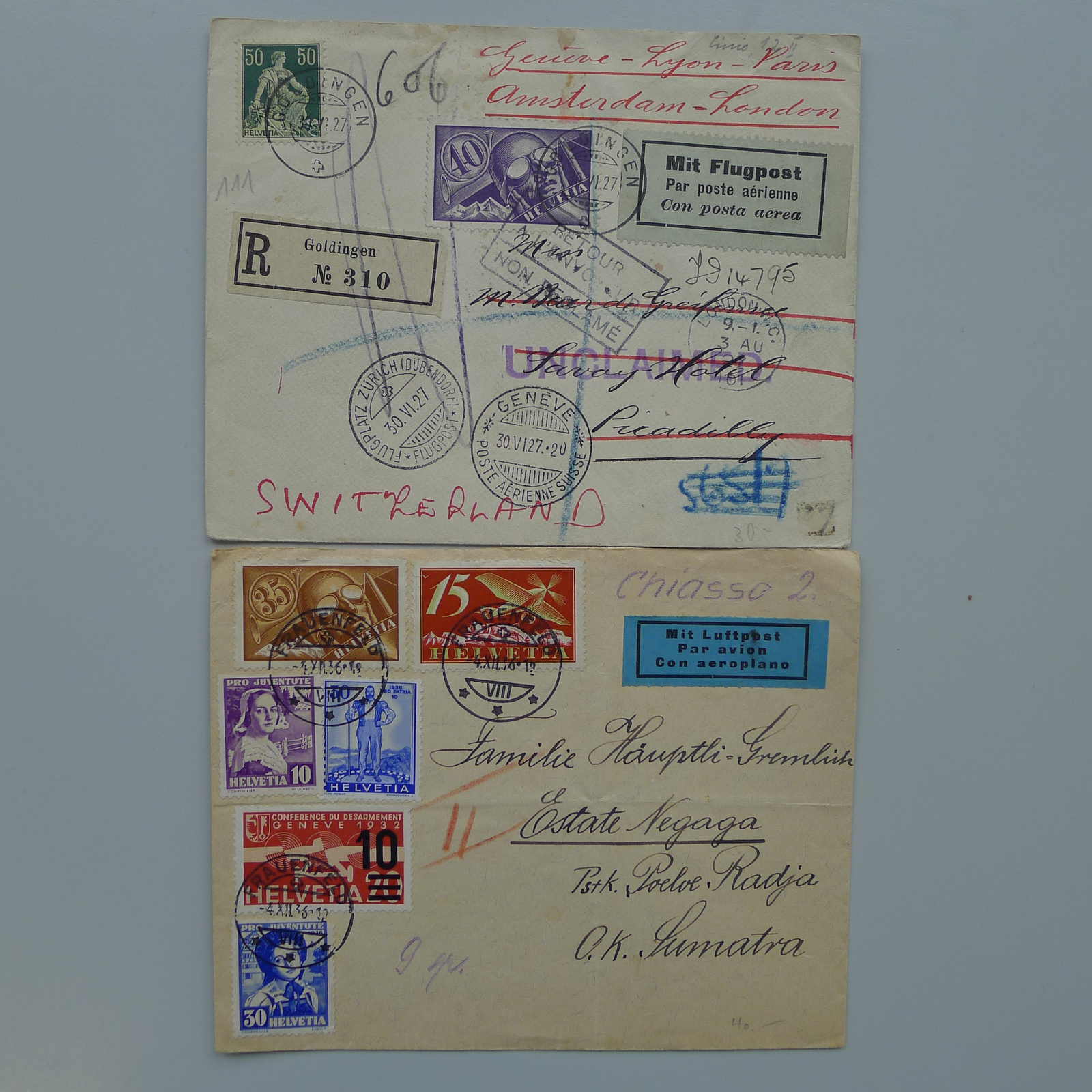 Image 7 for lot number 0003001167 for Luzernerraute Webshop 
