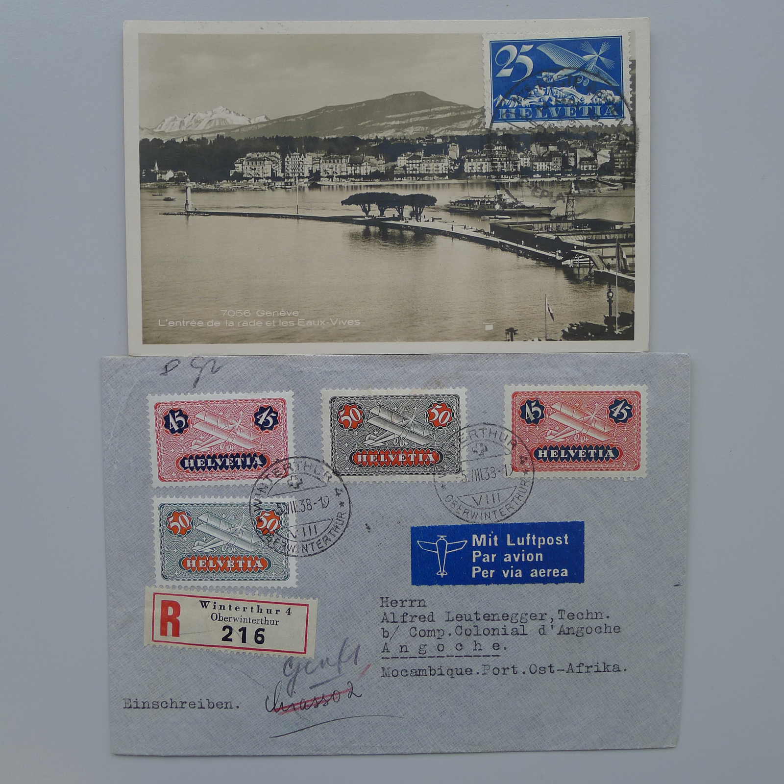 Image 8 for lot number 0003001167 for Luzernerraute Webshop 