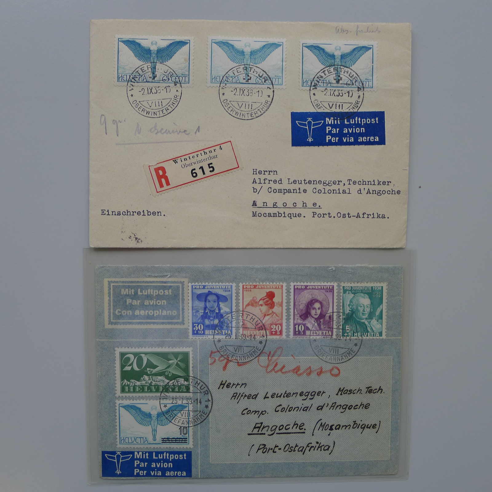 Image 10 for lot number 0003001167 for Luzernerraute Webshop 