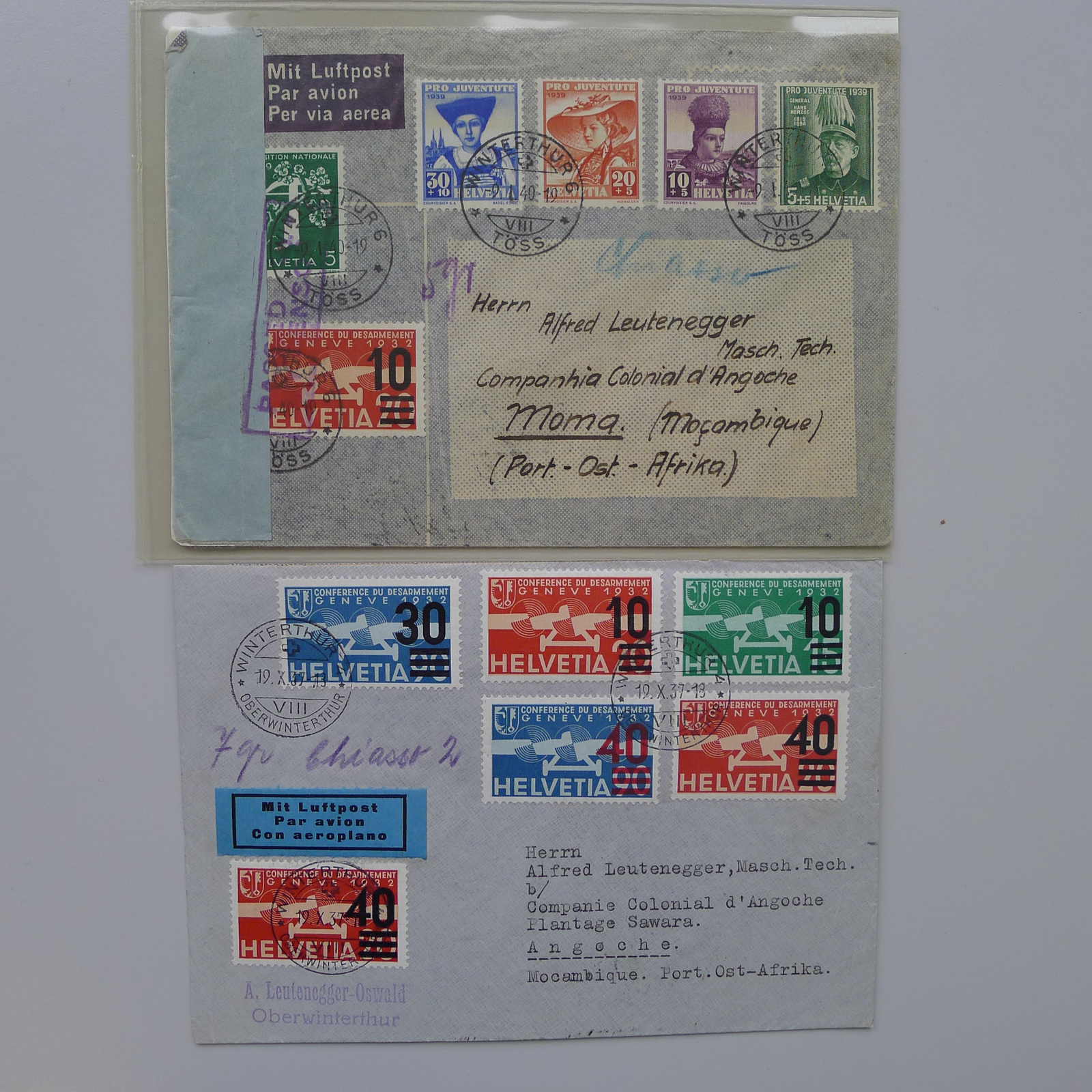 Image 11 for lot number 0003001167 for Luzernerraute Webshop 