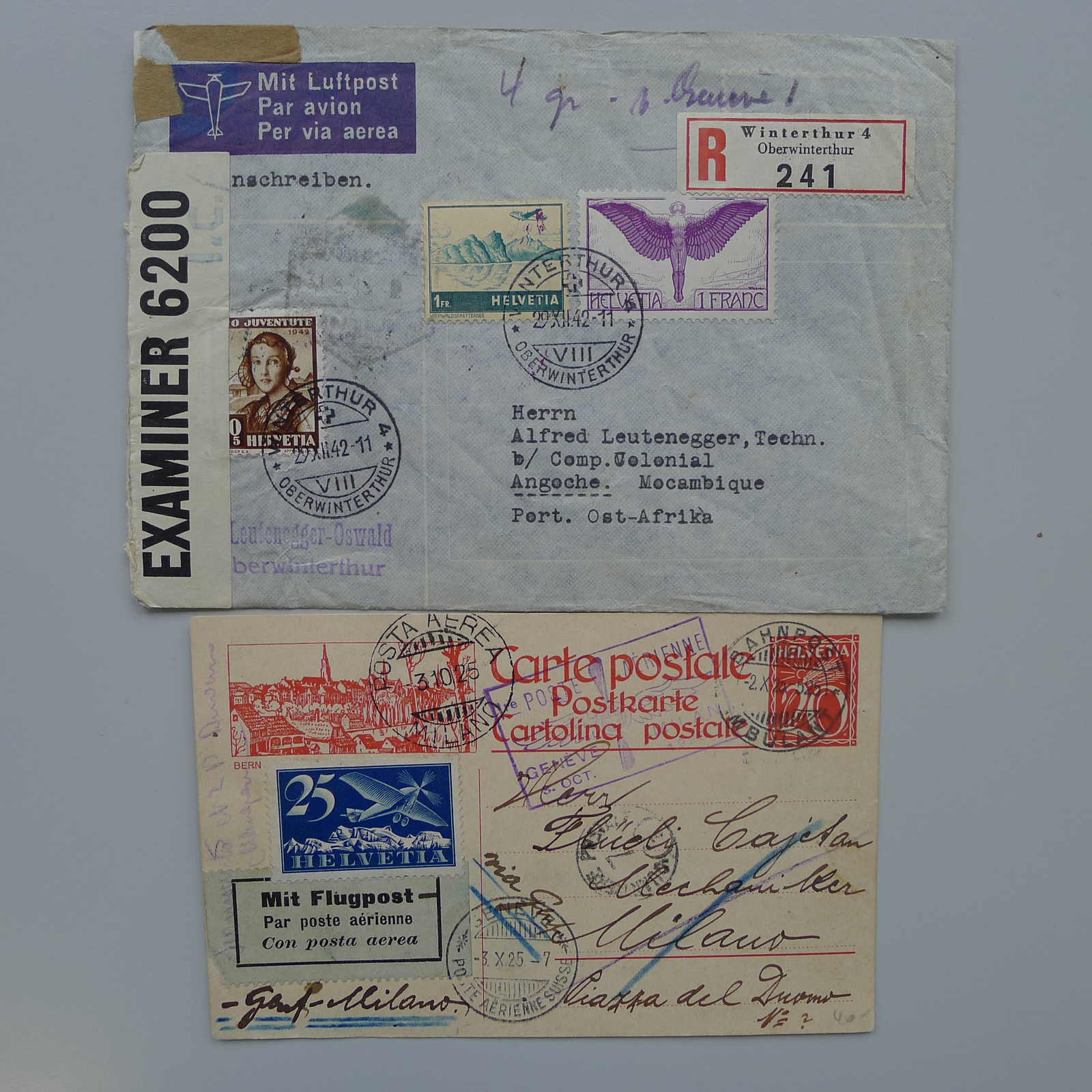 Image 12 for lot number 0003001167 for Luzernerraute Webshop 