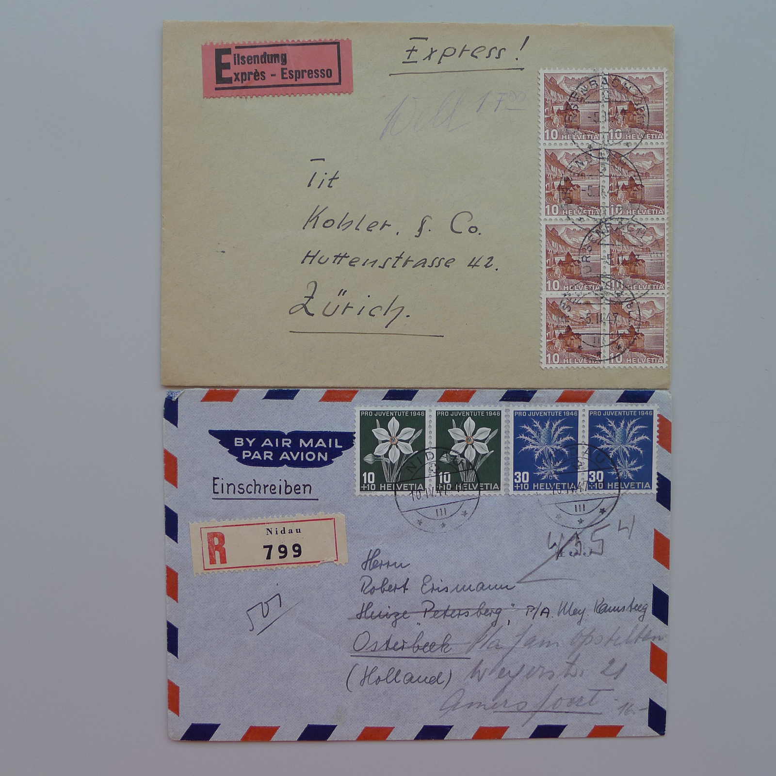 Image 4 for lot number 0003001248 for Luzernerraute Webshop 