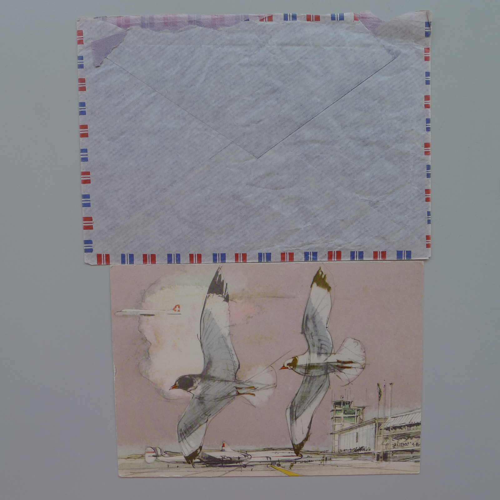 Image 8 for lot number 0003001248 for Luzernerraute Webshop 