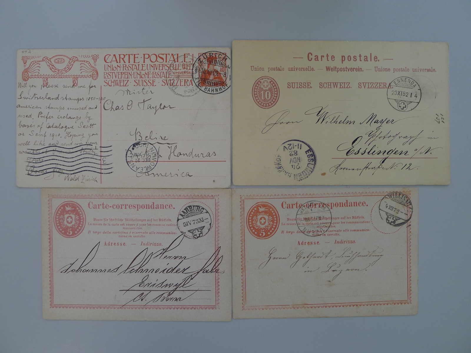 Image 2 for lot number 0003001260 for Luzernerraute Webshop 