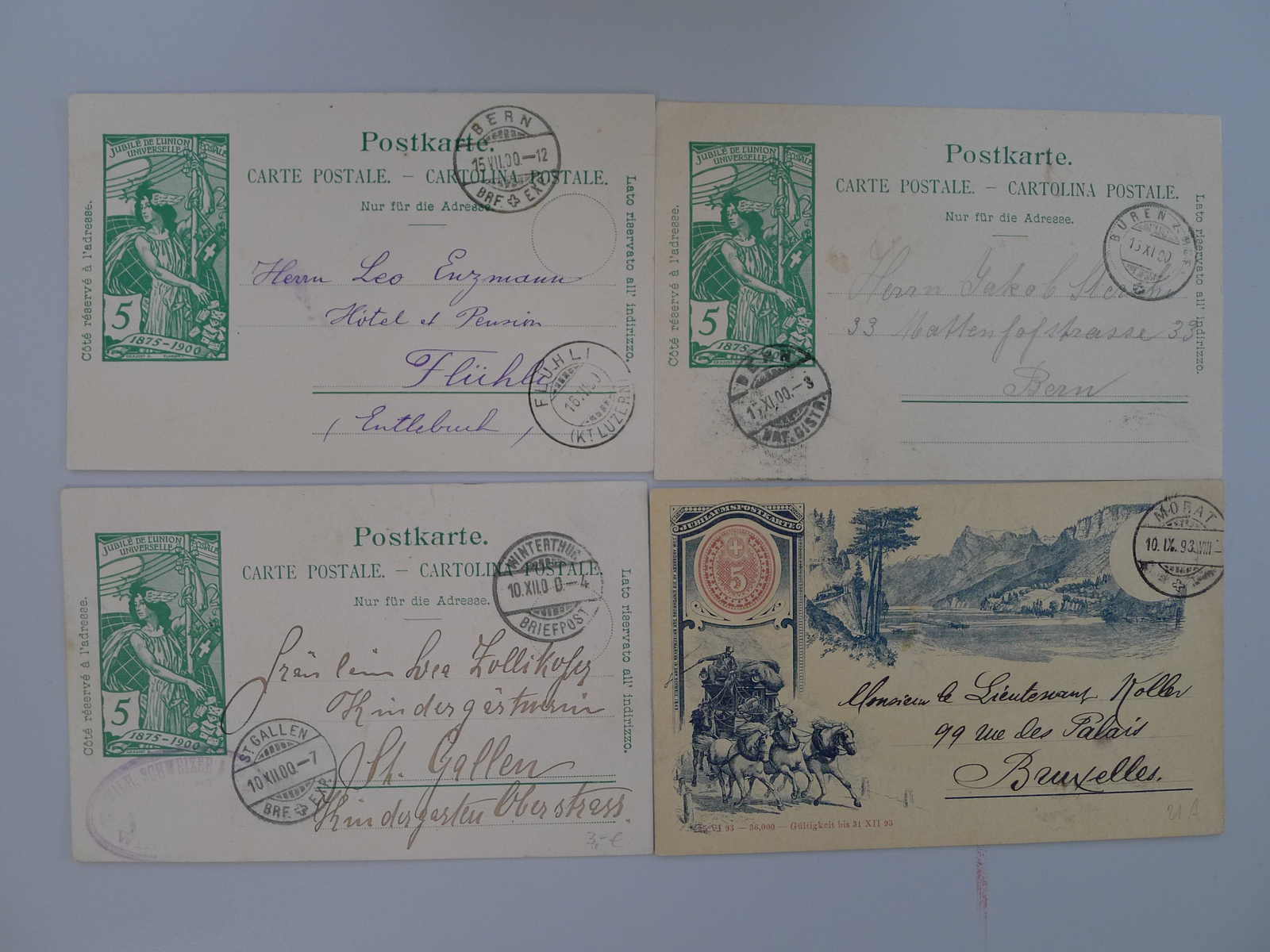 Image 6 for lot number 0003001260 for Luzernerraute Webshop 