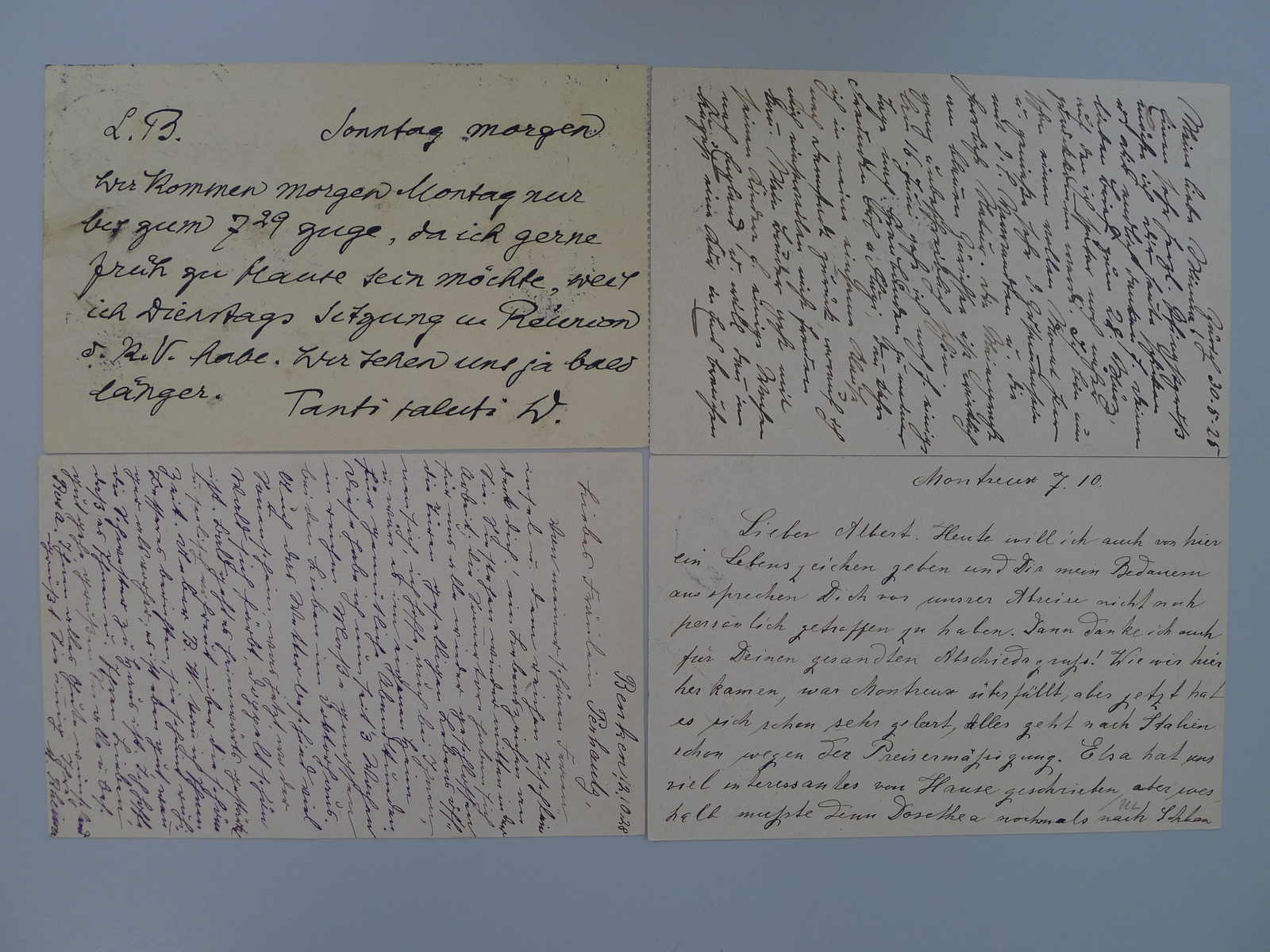 Image 15 for lot number 0003001260 for Luzernerraute Webshop 