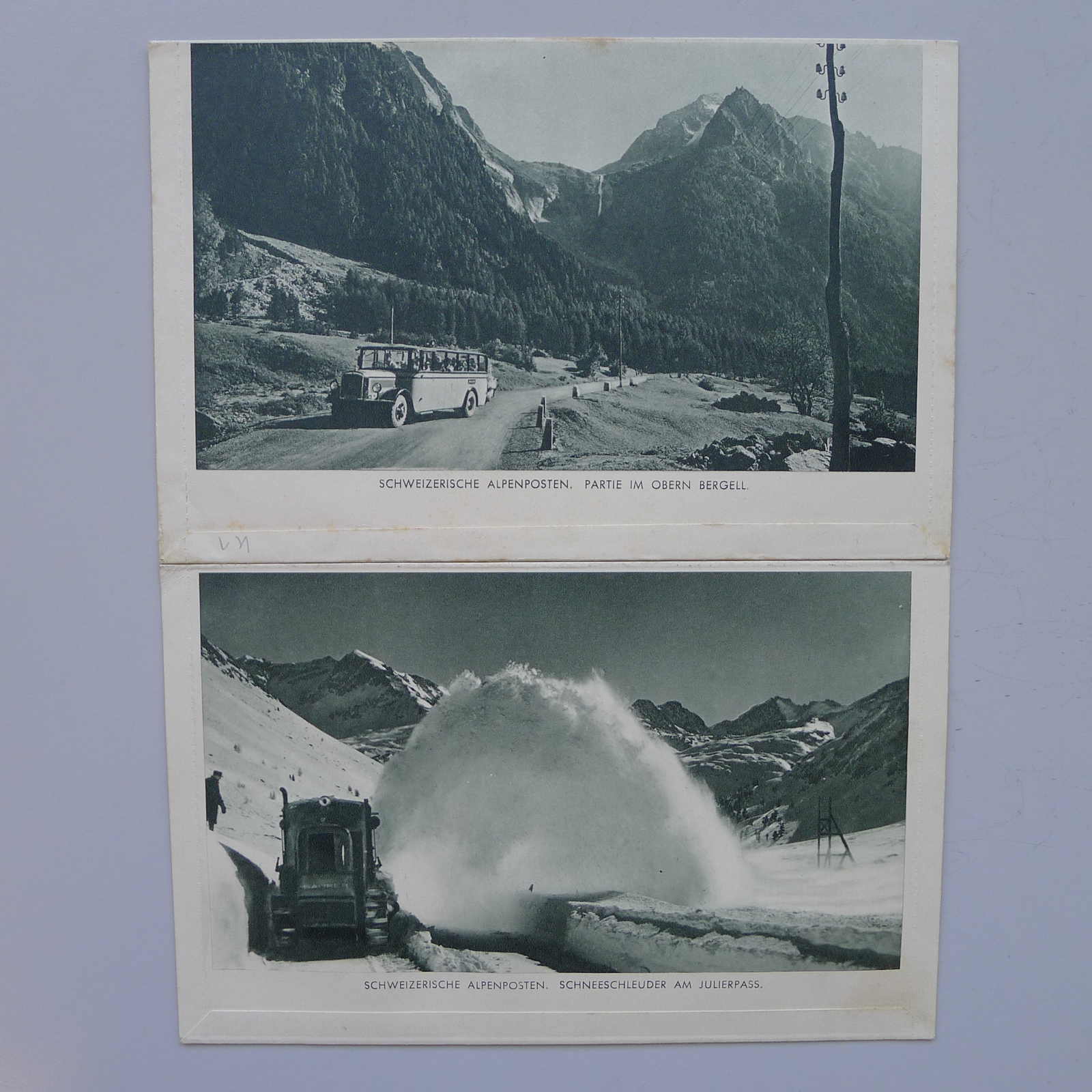 Image 3 for lot number 0003001311 for Luzernerraute Webshop 