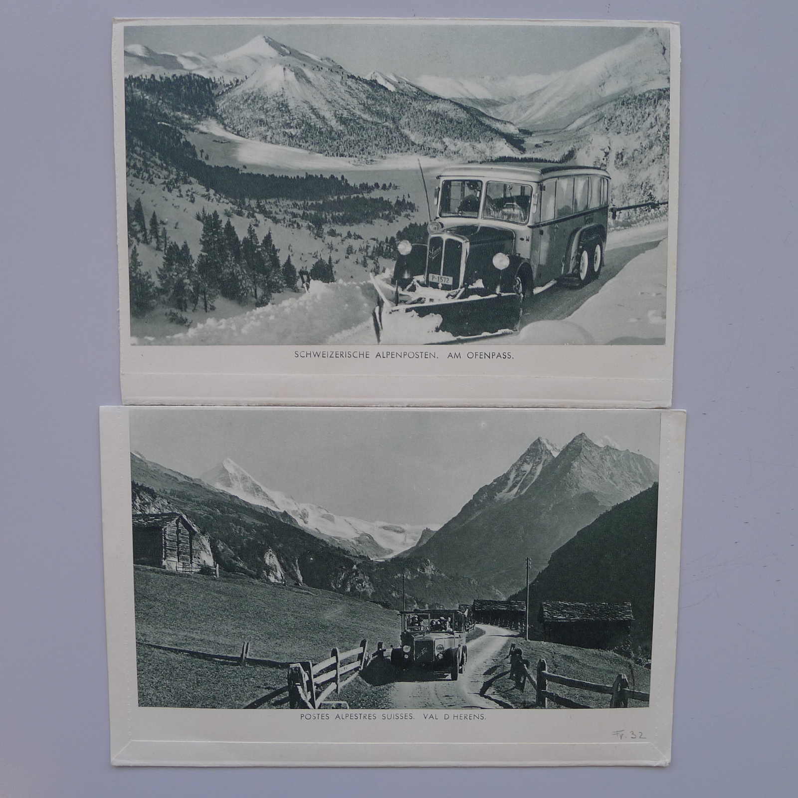 Image 7 for lot number 0003001311 for Luzernerraute Webshop 