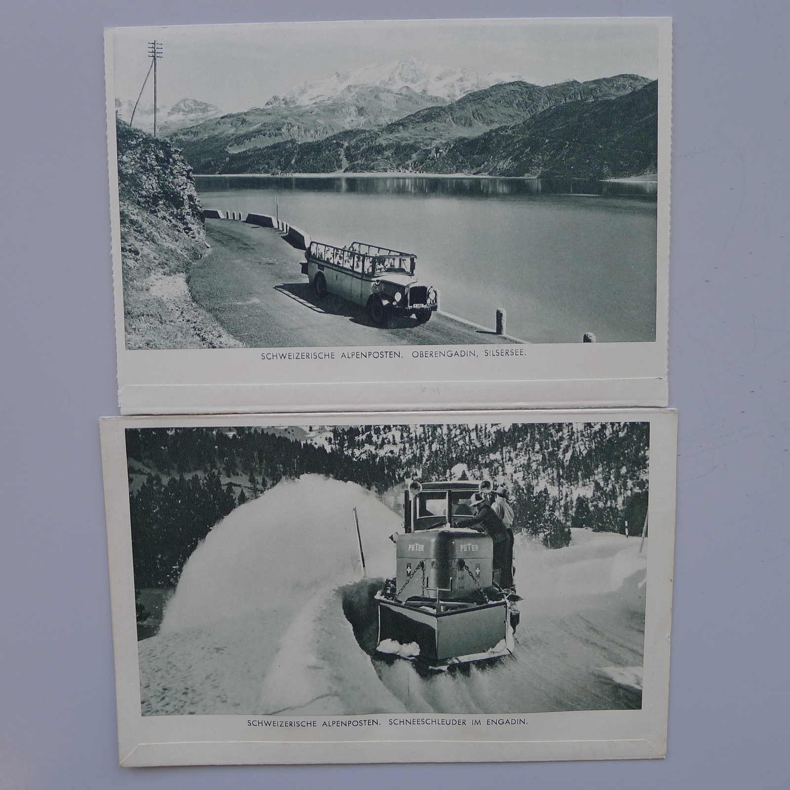 Image 9 for lot number 0003001311 for Luzernerraute Webshop 