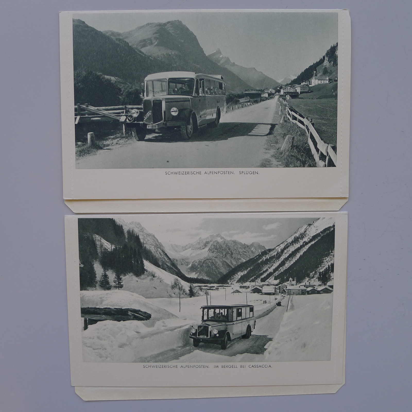 Image 12 for lot number 0003001311 for Luzernerraute Webshop 