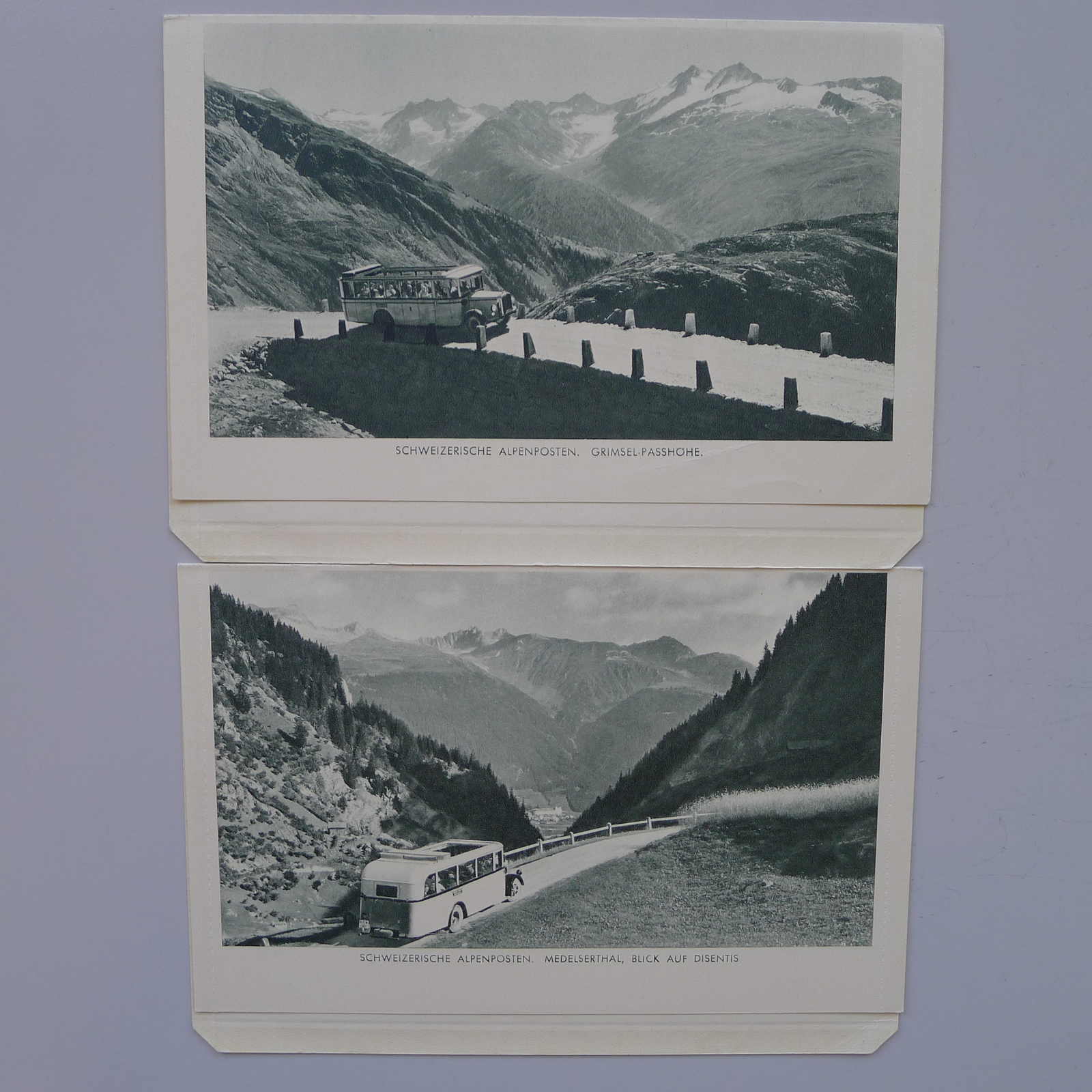 Image 14 for lot number 0003001311 for Luzernerraute Webshop 