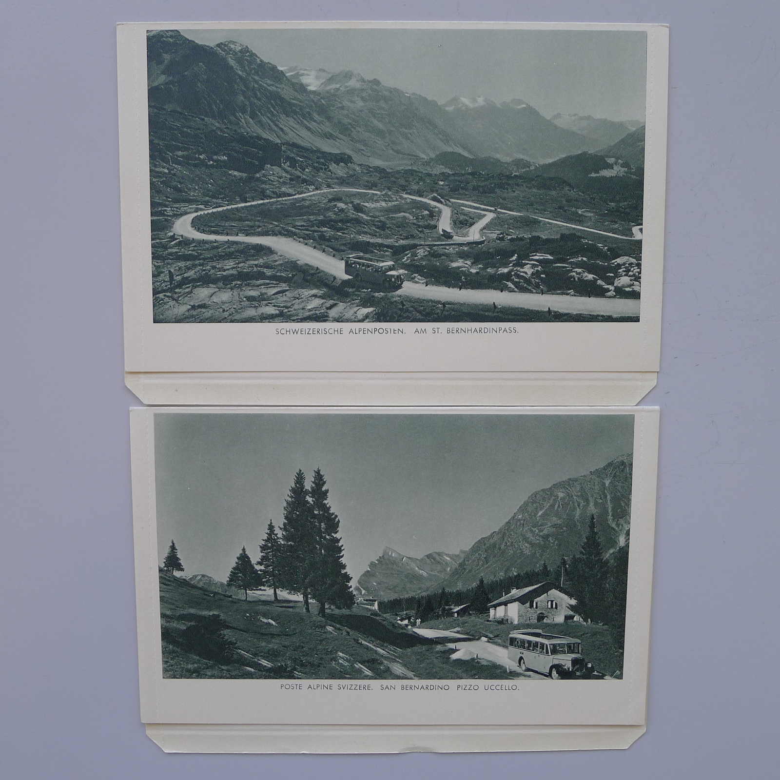 Image 16 for lot number 0003001311 for Luzernerraute Webshop 