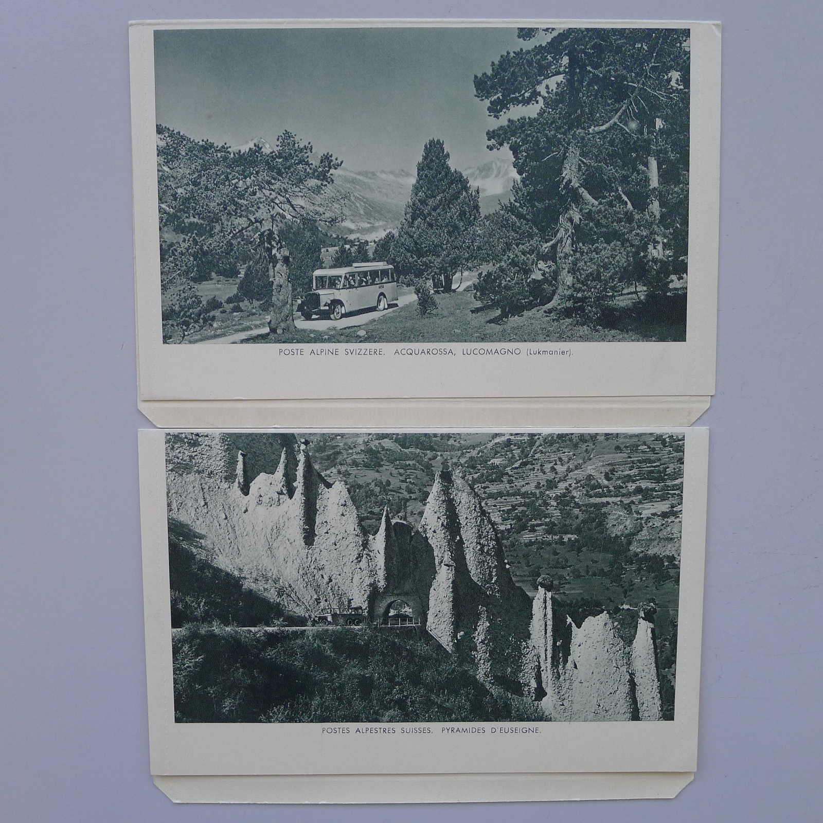 Image 18 for lot number 0003001311 for Luzernerraute Webshop 