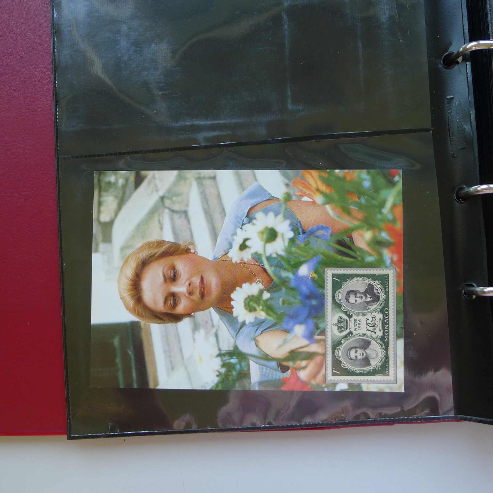 Image 2 for lot number 0003001326 for Luzernerraute Webshop 