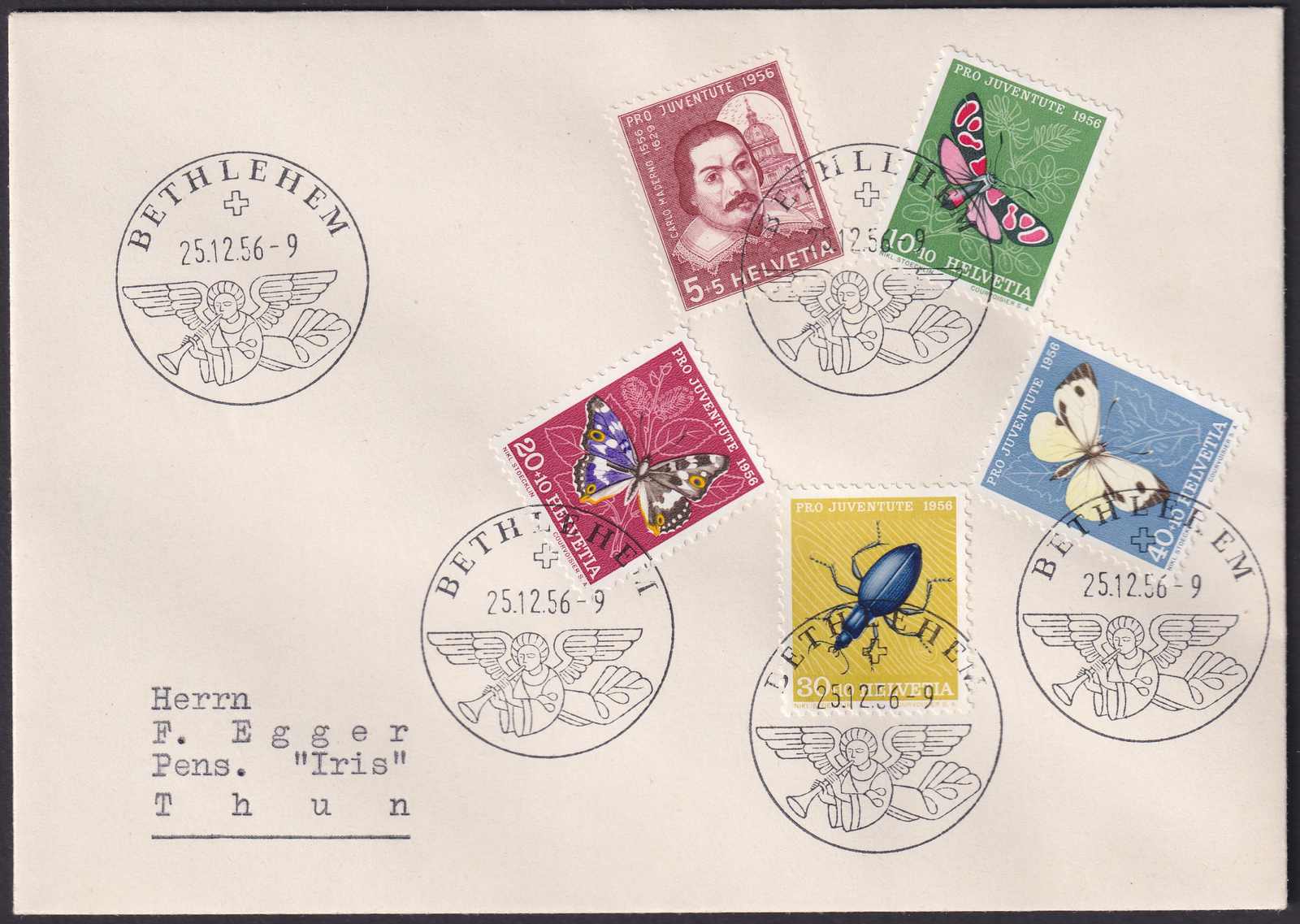 Image 1 for lot number 0004100116 for Luzernerraute Webshop 