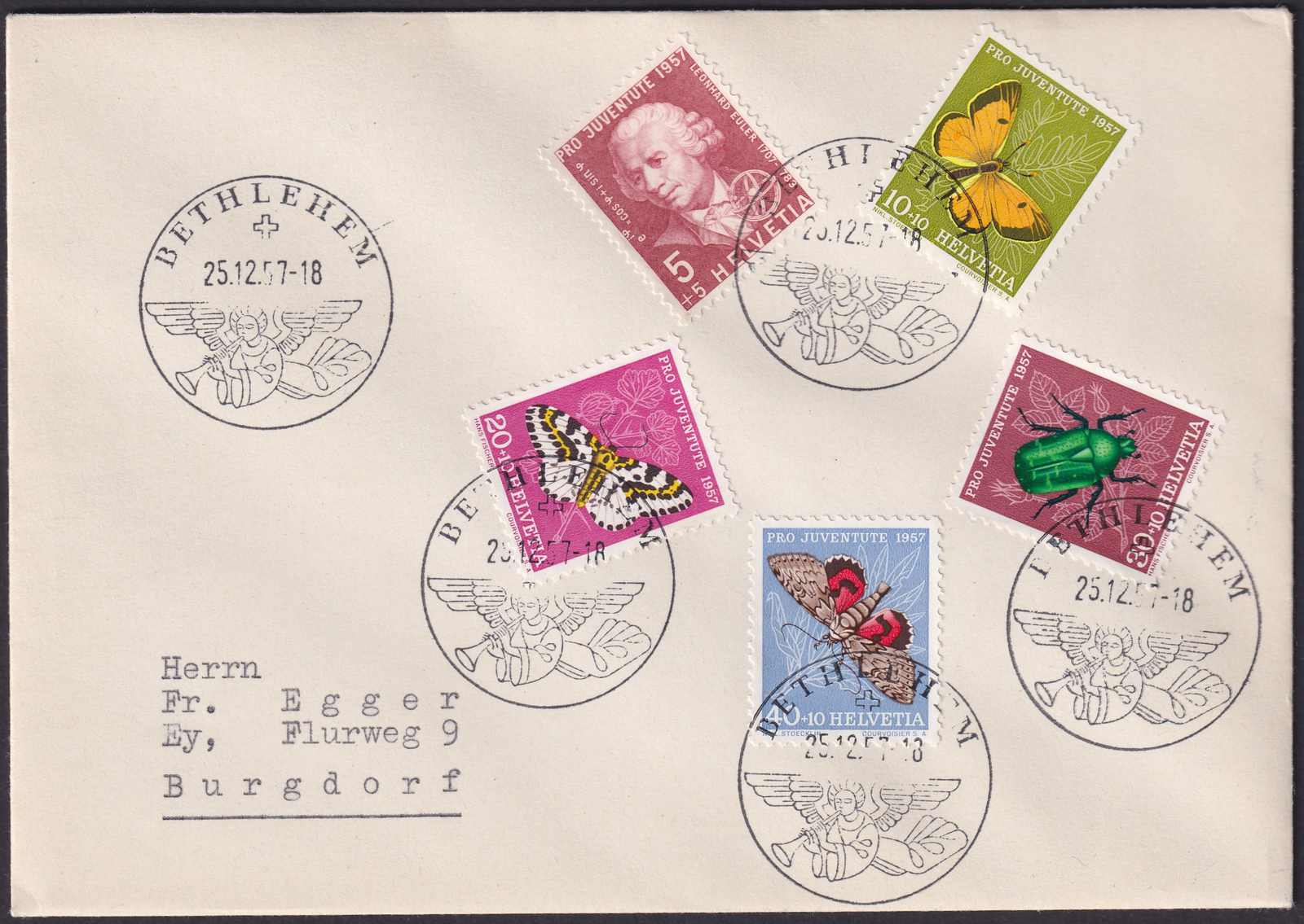 Image 3 for lot number 0004100116 for Luzernerraute Webshop 