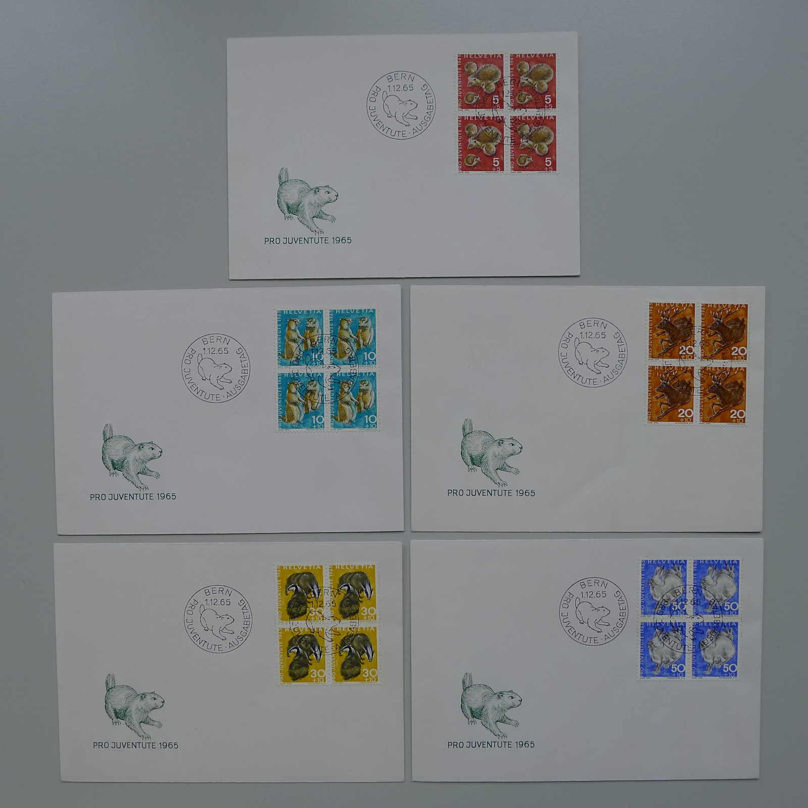 Image 1 for lot number 0004102507 for Luzernerraute Webshop 