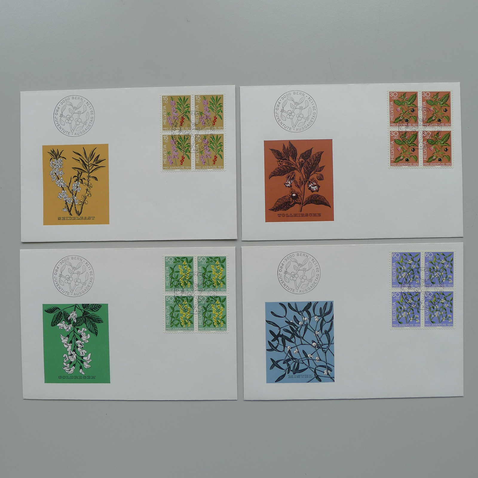 Image 1 for lot number 0004102511 for Luzernerraute Webshop 