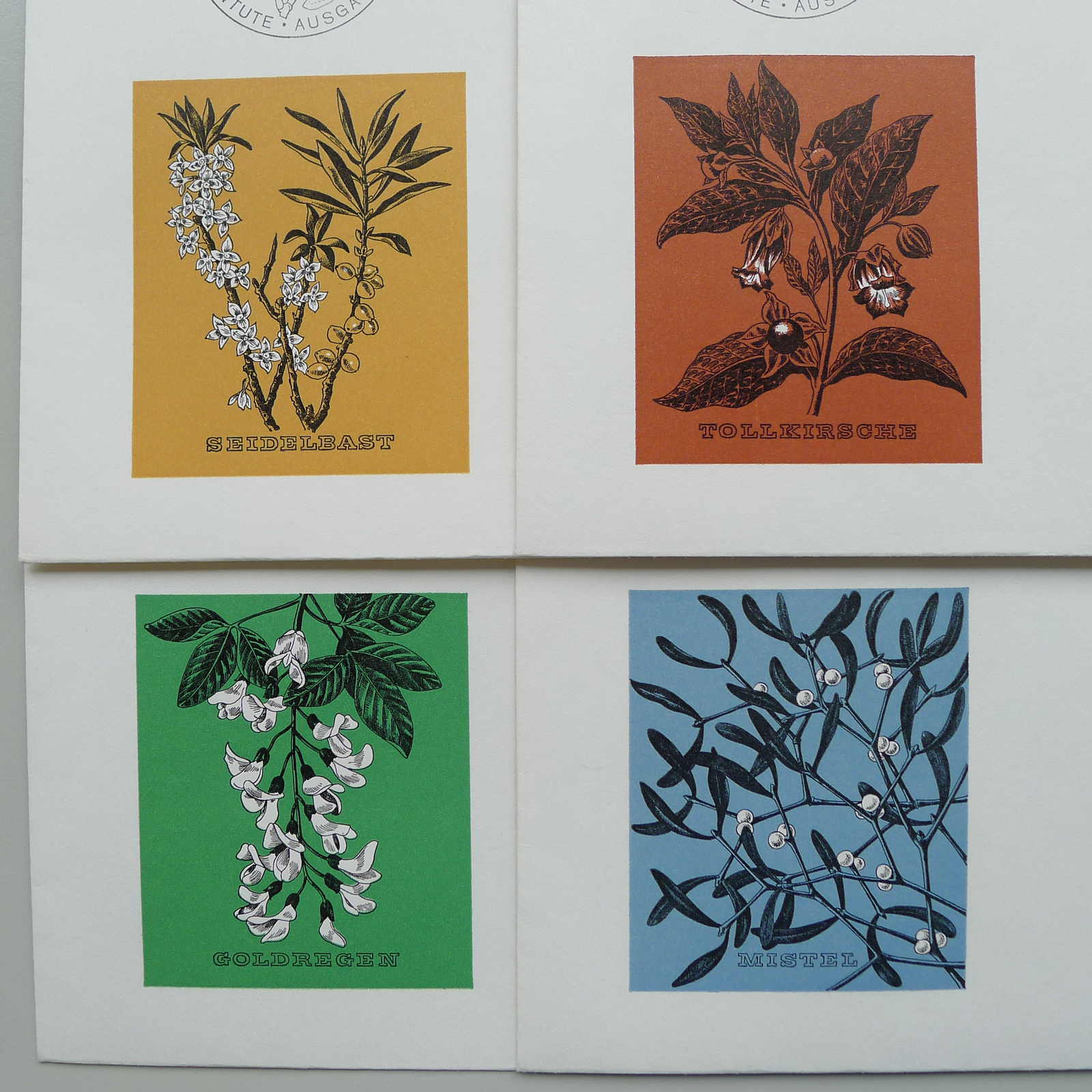 Image 2 for lot number 0004102511 for Luzernerraute Webshop 