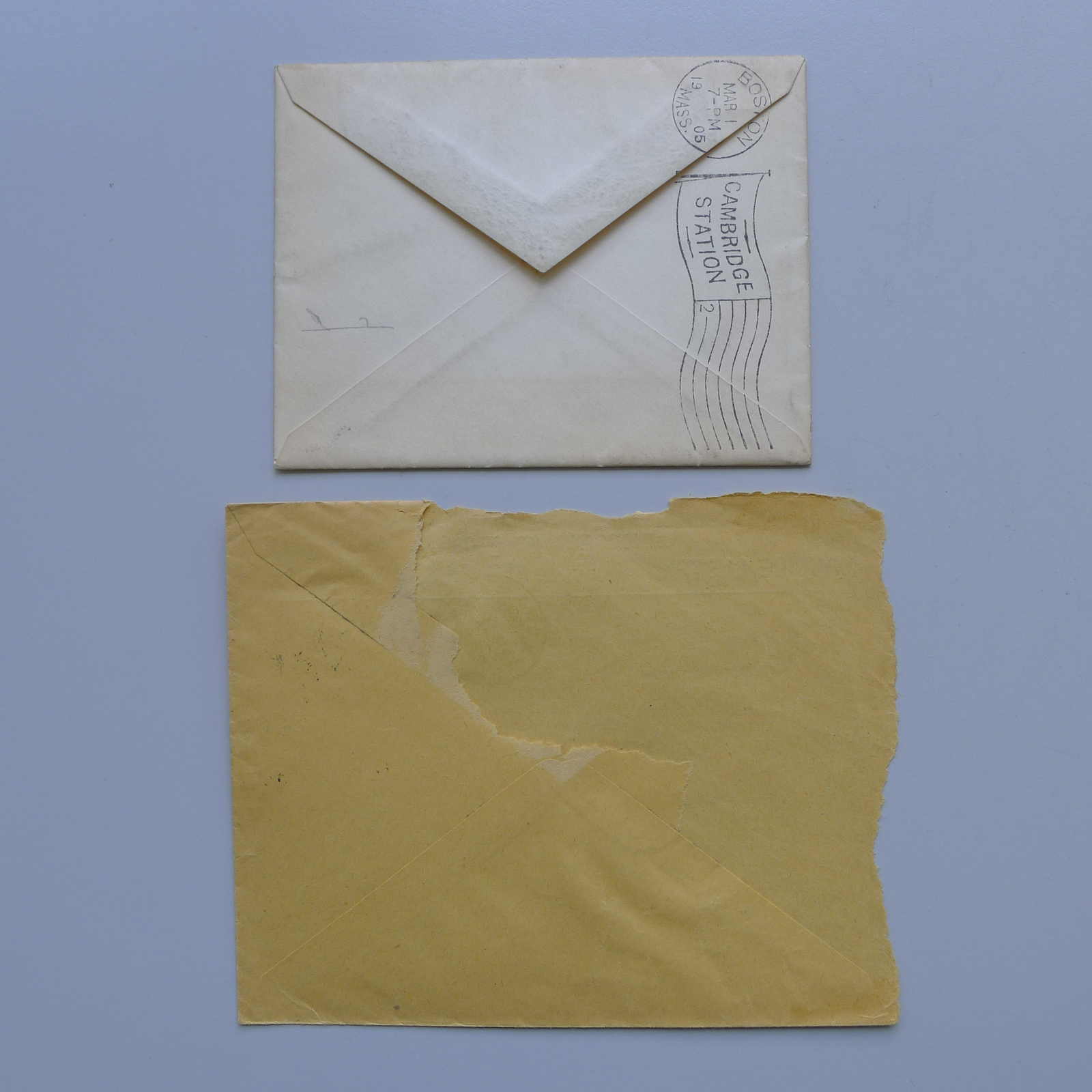 Image 16 for lot number 0004102594 for Luzernerraute Webshop 