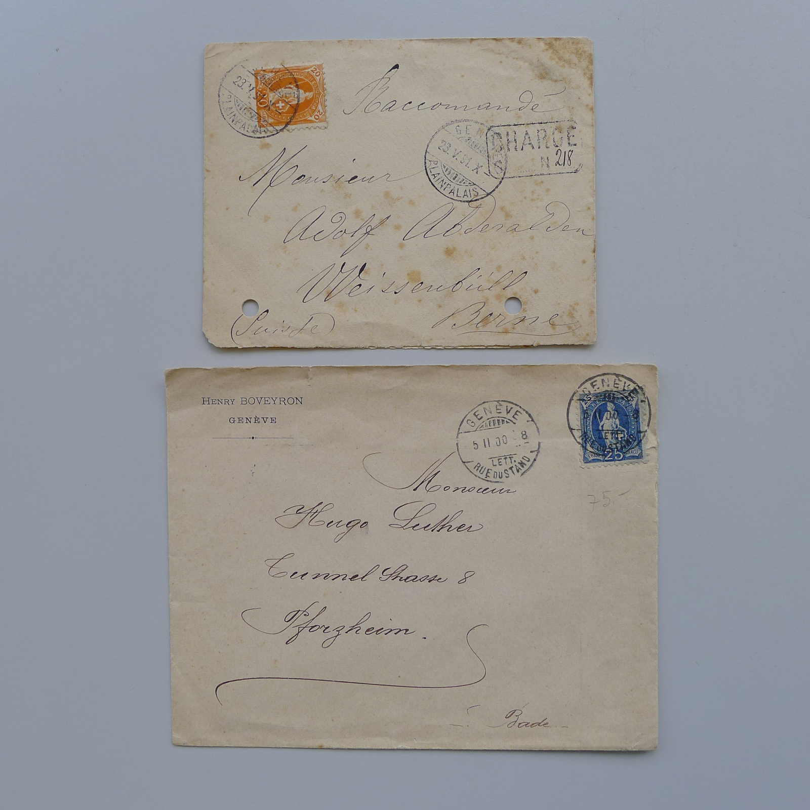 Image 49 for lot number 0004102594 for Luzernerraute Webshop 
