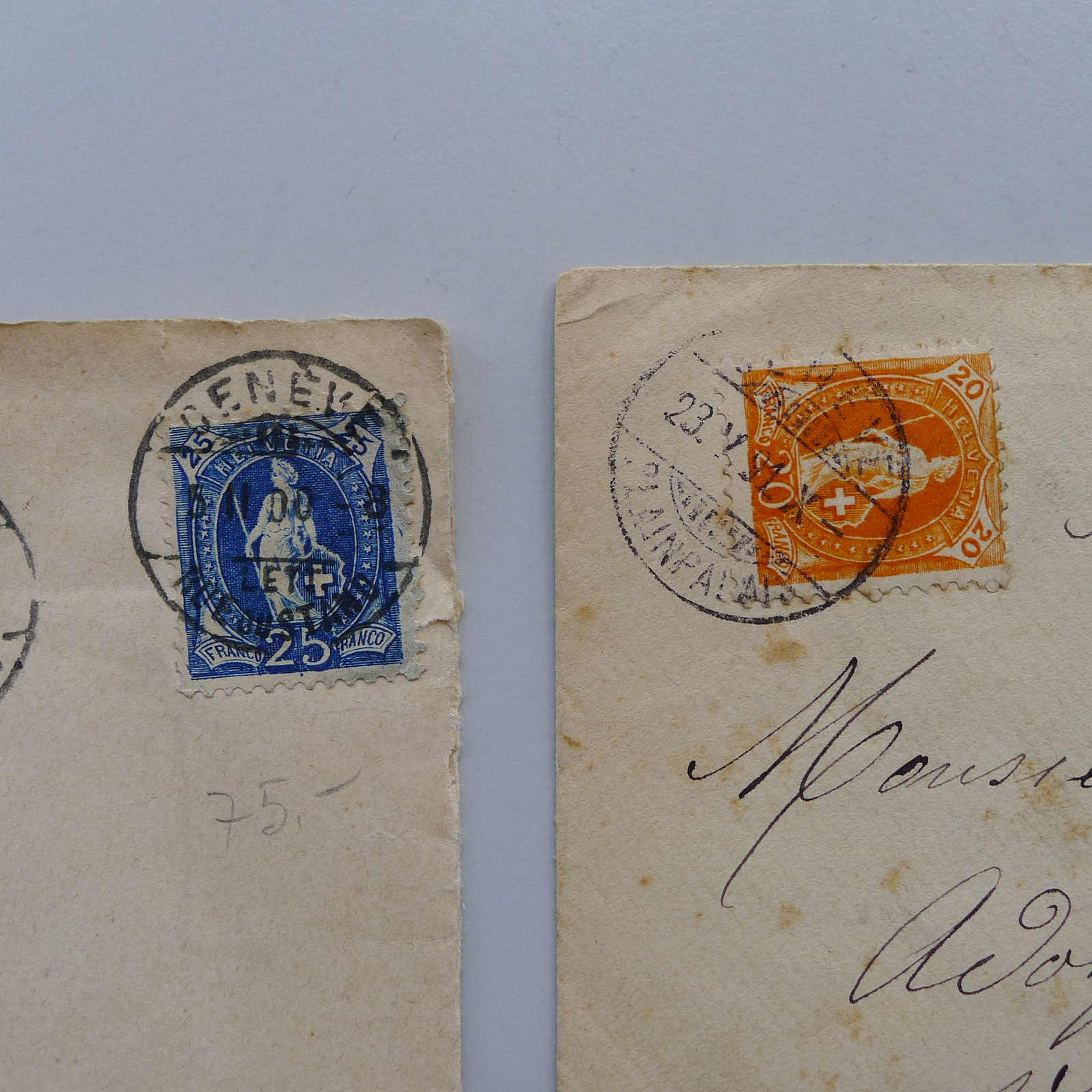Image 50 for lot number 0004102594 for Luzernerraute Webshop 