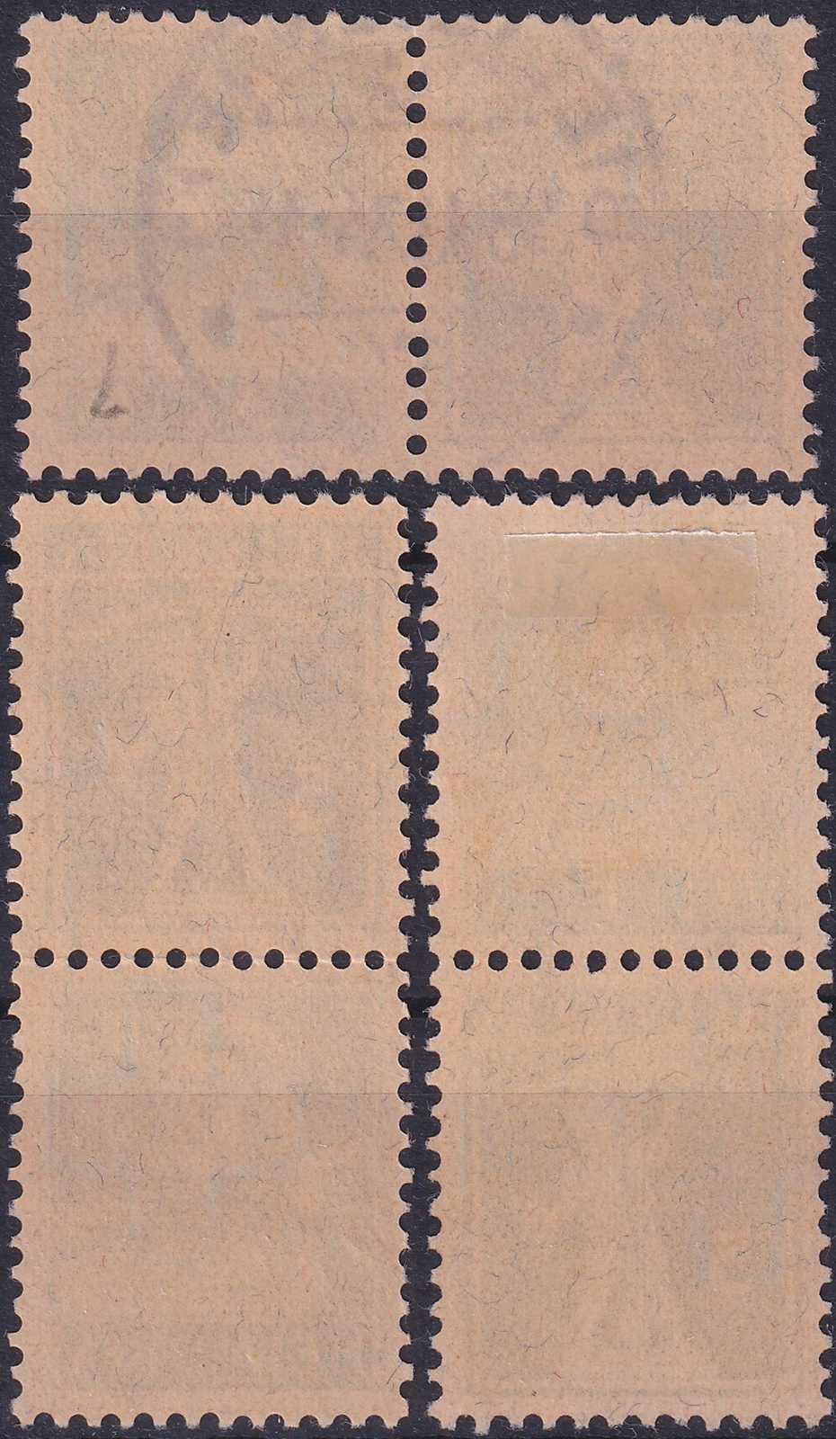 Image 1 for lot number 0004102982 for Luzernerraute Webshop 