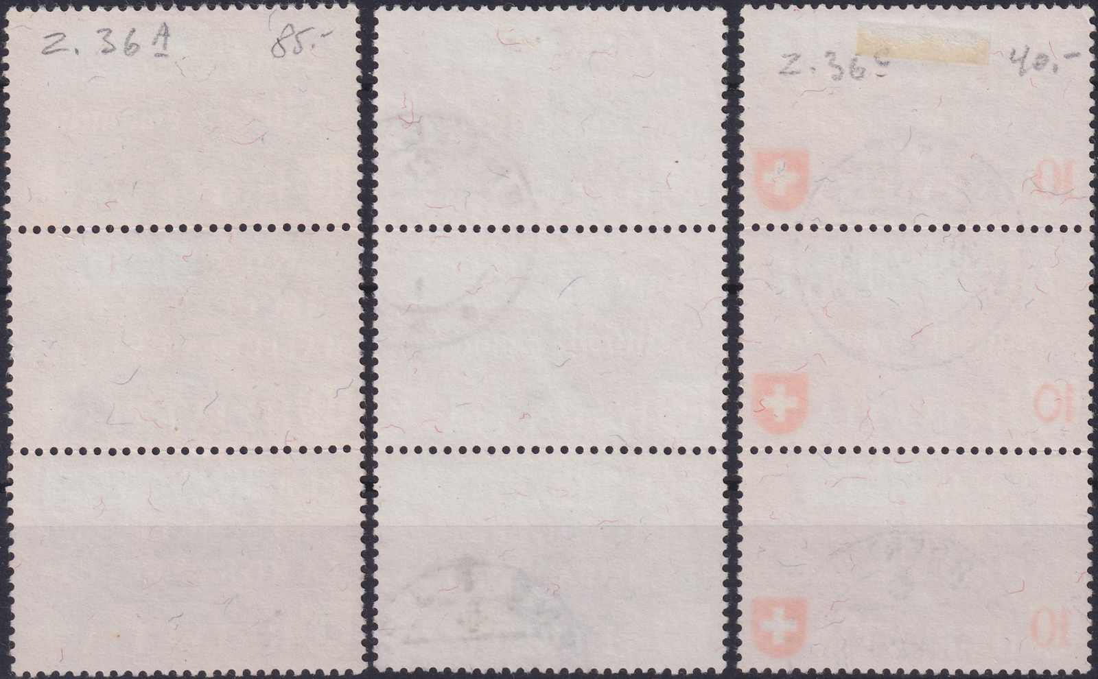 Image 1 for lot number 0004102990 for Luzernerraute Webshop 