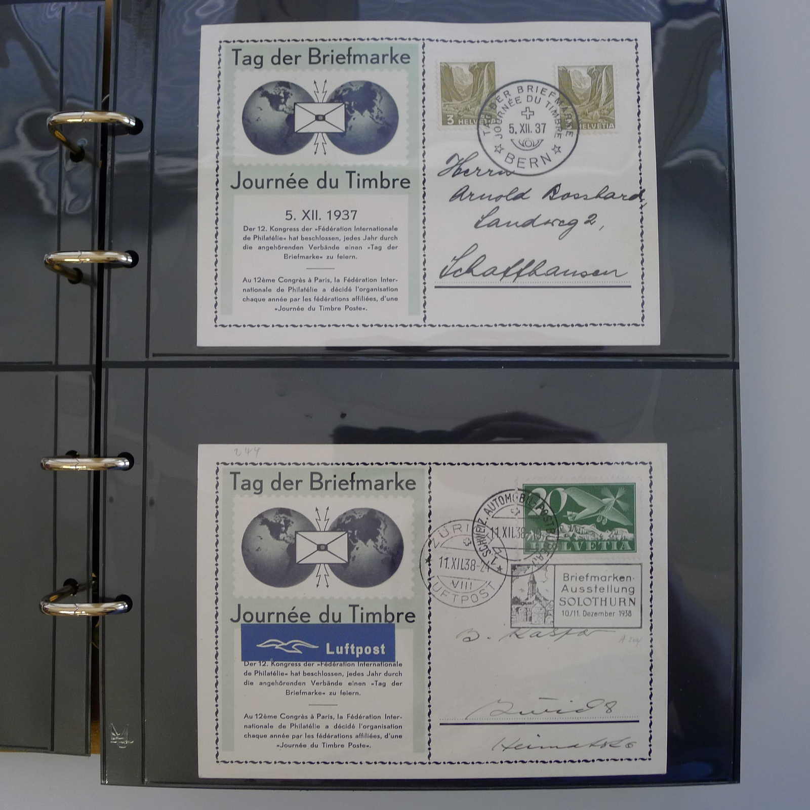 Image 3 for lot number 0004103309 for Luzernerraute Webshop 