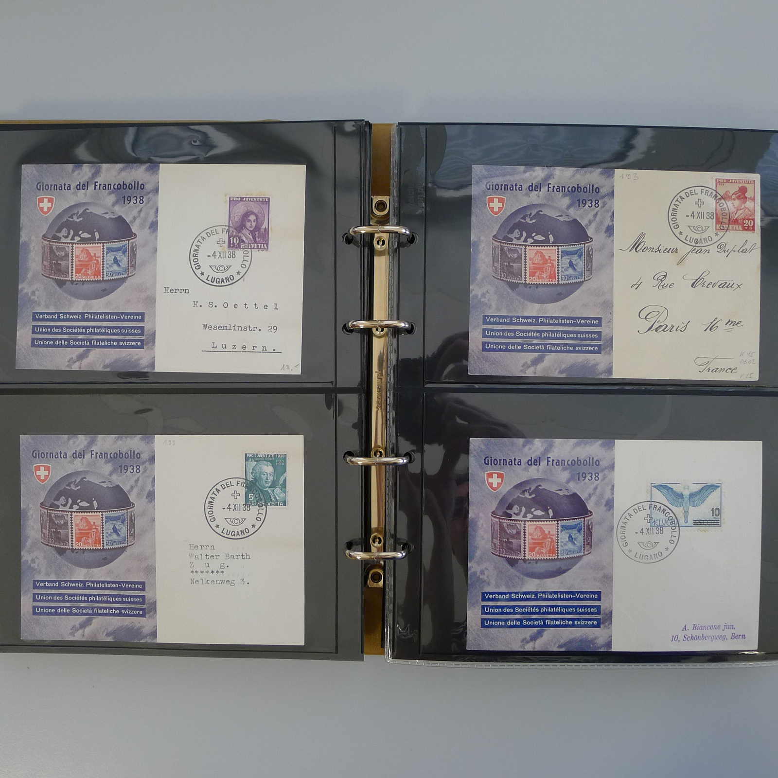 Image 19 for lot number 0004103309 for Luzernerraute Webshop 