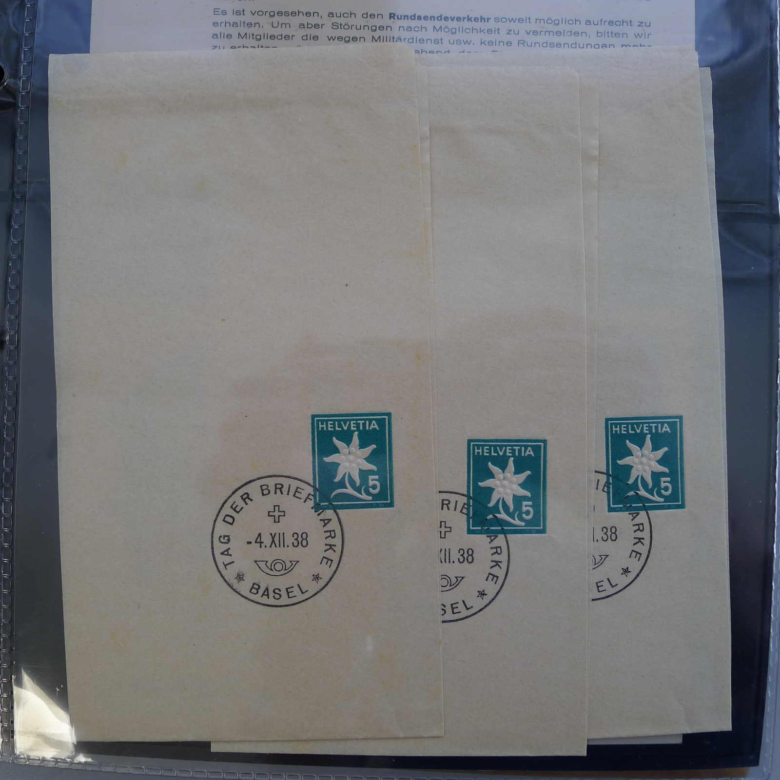 Image 20 for lot number 0004103309 for Luzernerraute Webshop 