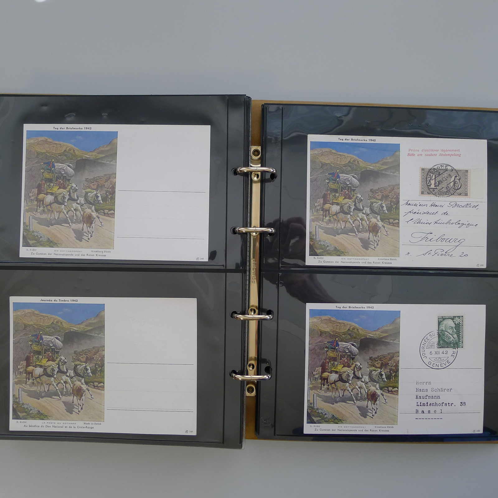 Image 30 for lot number 0004103309 for Luzernerraute Webshop 