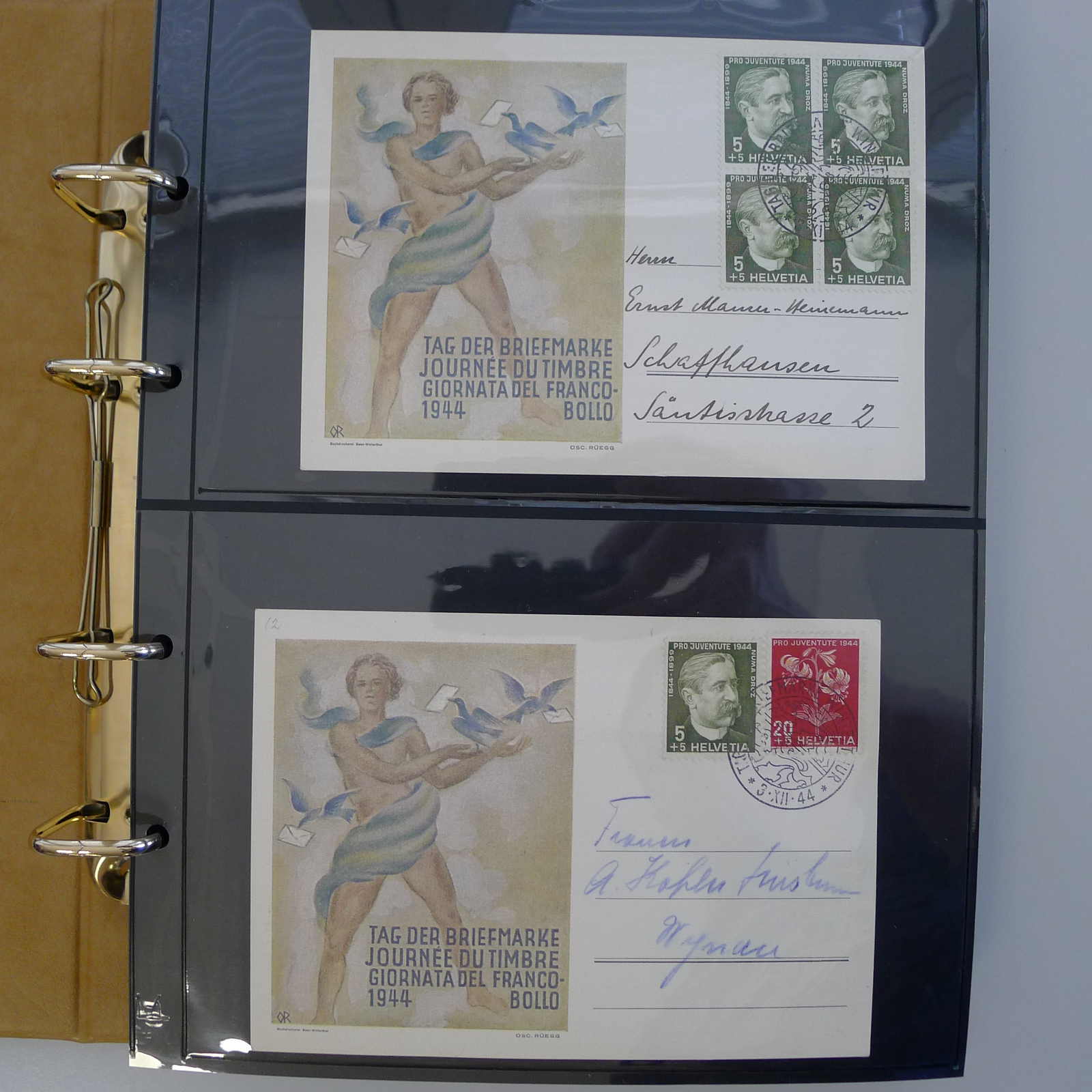 Image 41 for lot number 0004103309 for Luzernerraute Webshop 