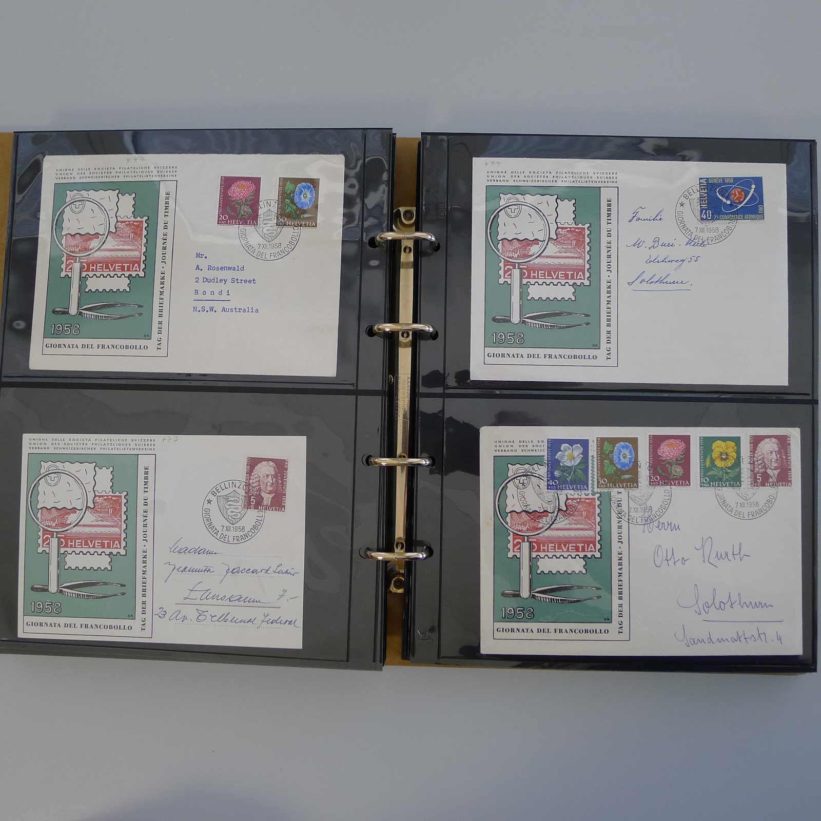 Image 95 for lot number 0004103309 for Luzernerraute Webshop 