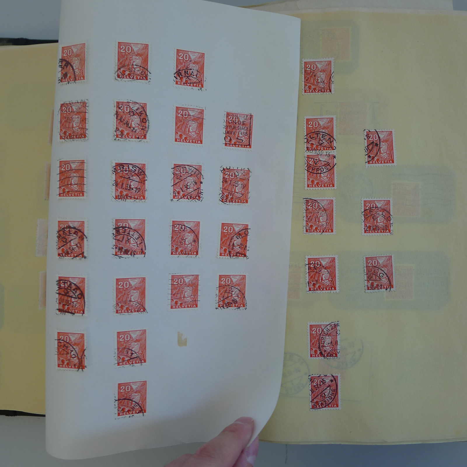 Image 10 for lot number 0004103465 for Luzernerraute Webshop 