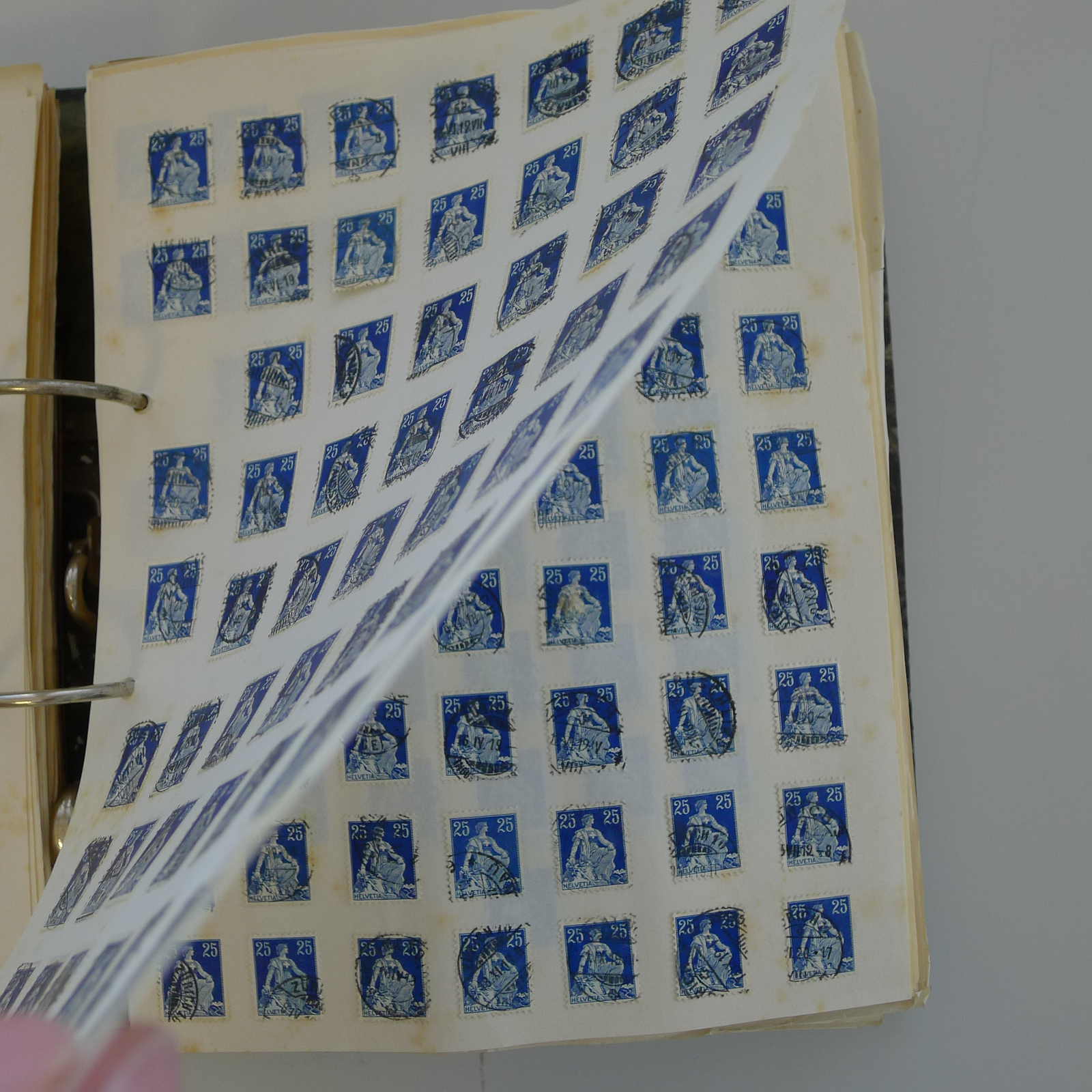 Image 13 for lot number 0004103465 for Luzernerraute Webshop 