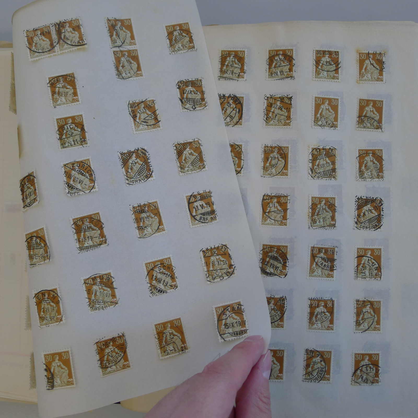 Image 17 for lot number 0004103465 for Luzernerraute Webshop 