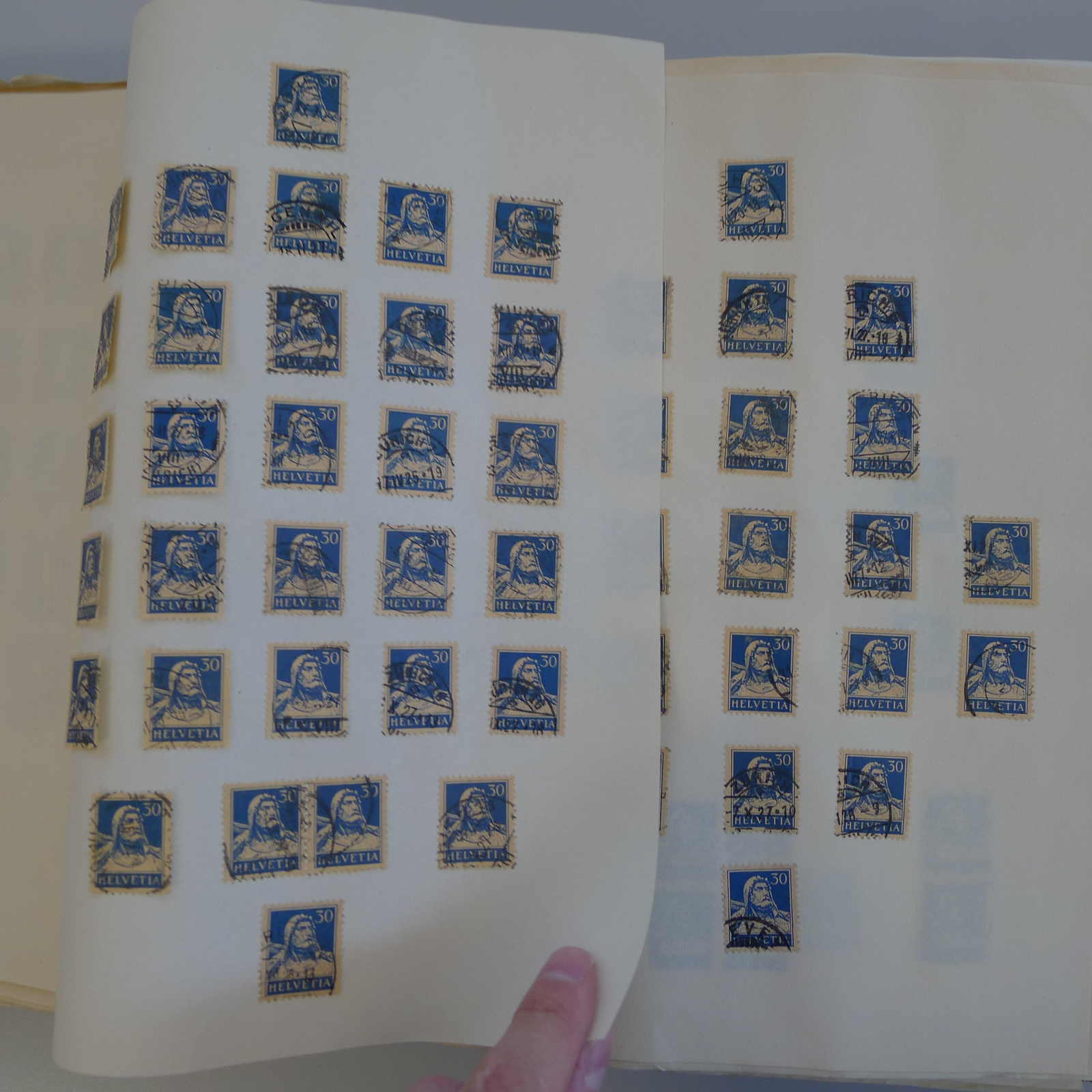 Image 19 for lot number 0004103465 for Luzernerraute Webshop 