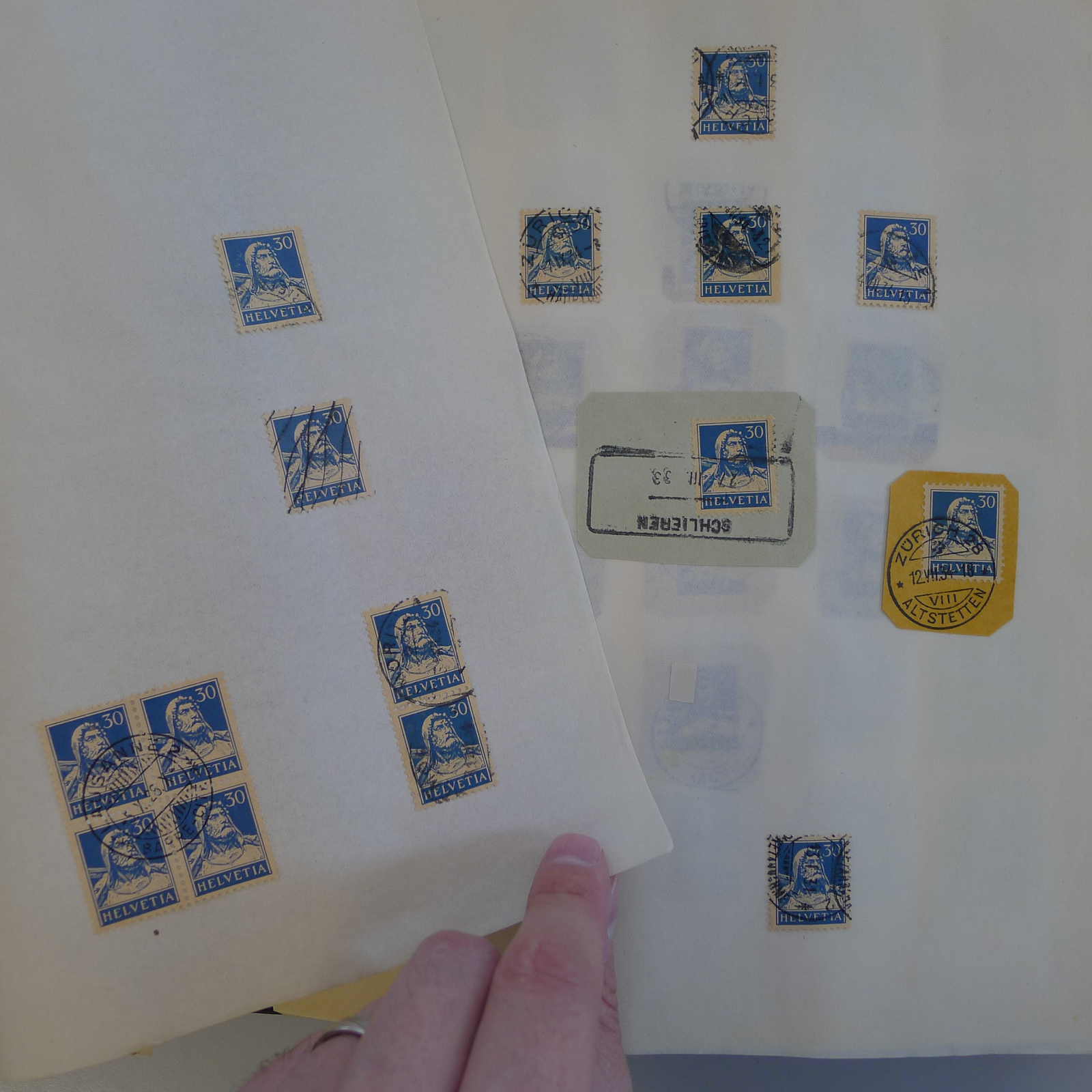 Image 20 for lot number 0004103465 for Luzernerraute Webshop 