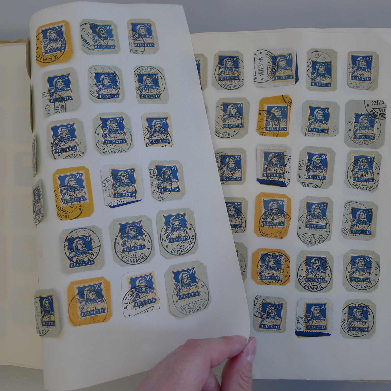 Image 23 for lot number 0004103465 for Luzernerraute Webshop 