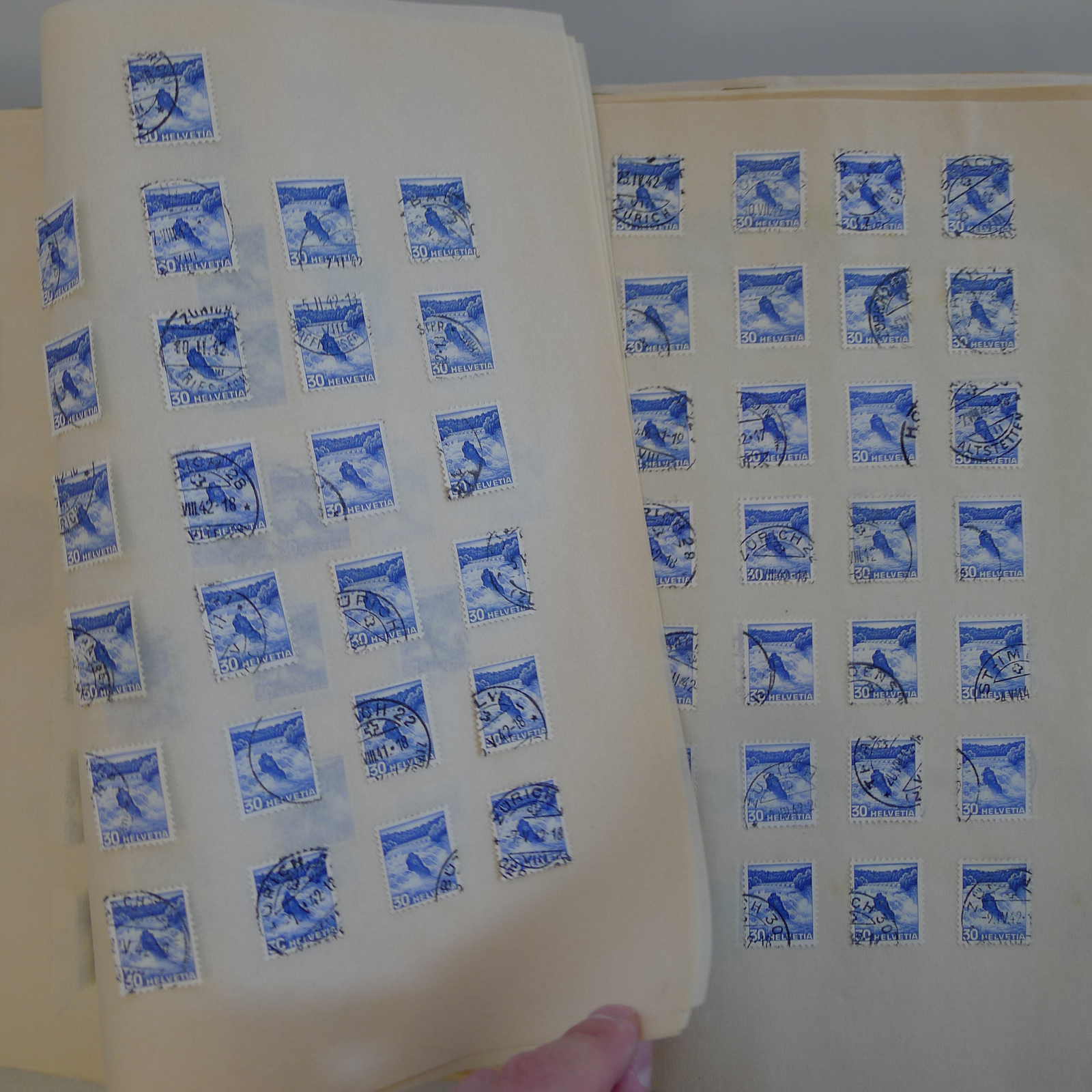 Image 24 for lot number 0004103465 for Luzernerraute Webshop 