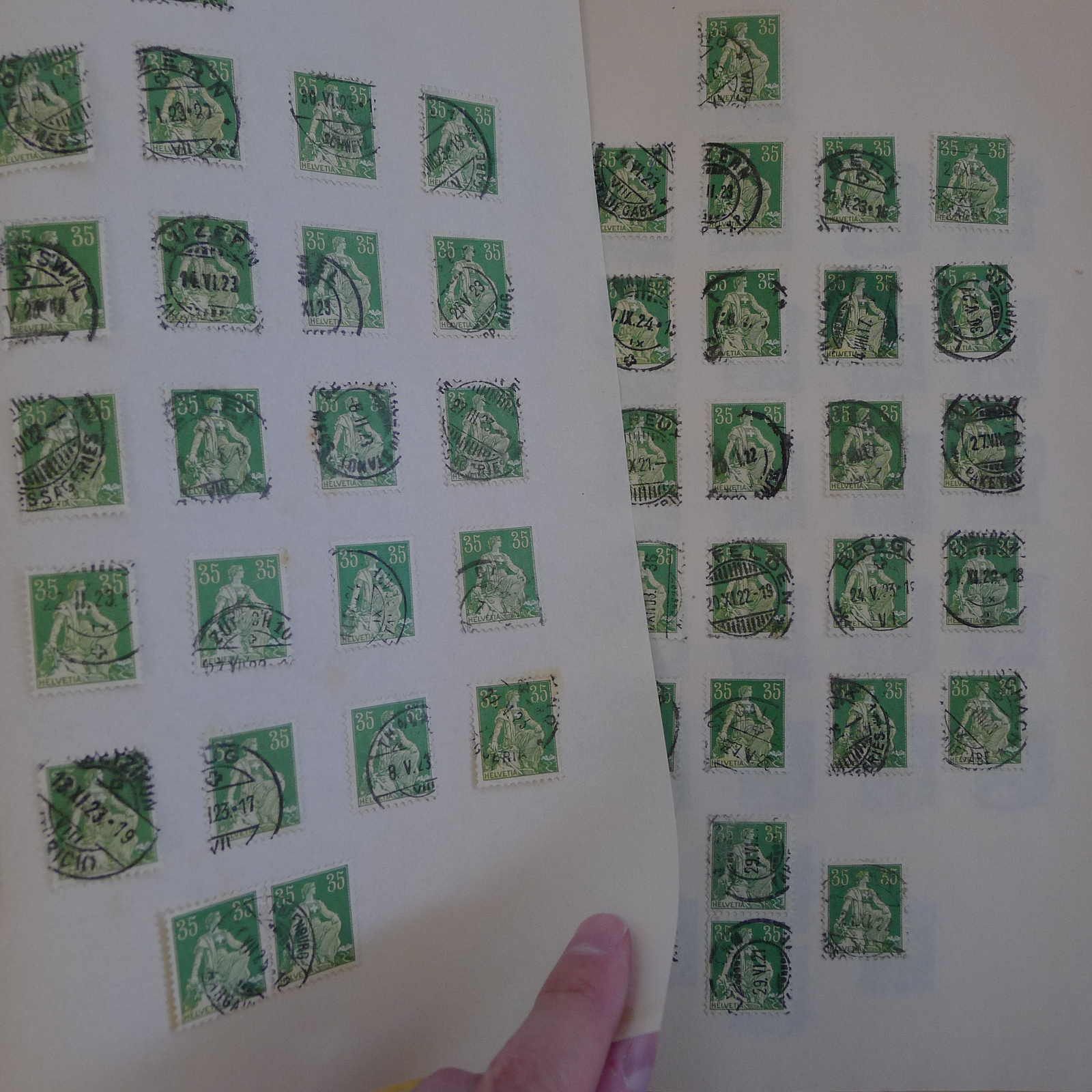 Image 25 for lot number 0004103465 for Luzernerraute Webshop 