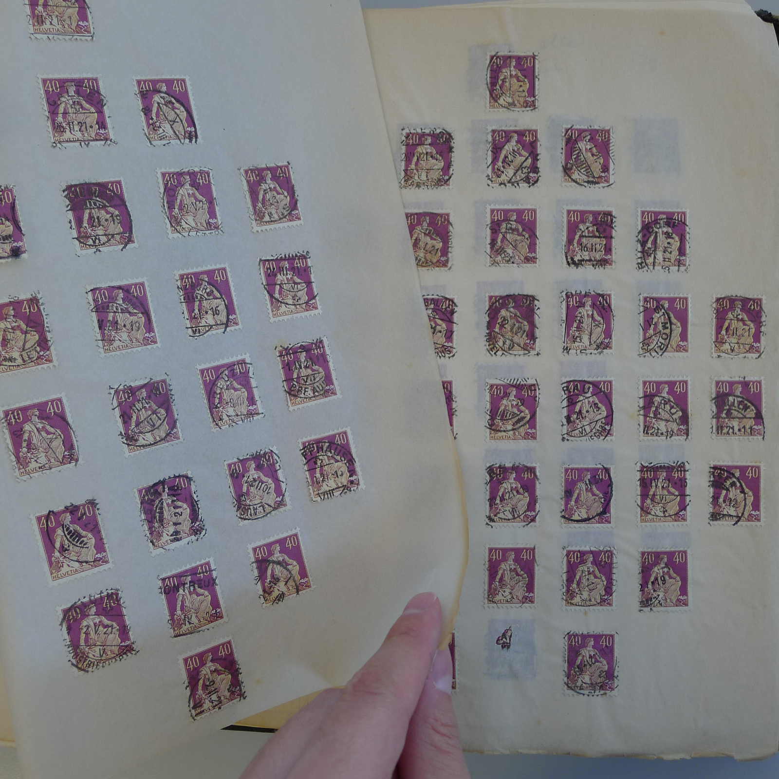 Image 26 for lot number 0004103465 for Luzernerraute Webshop 