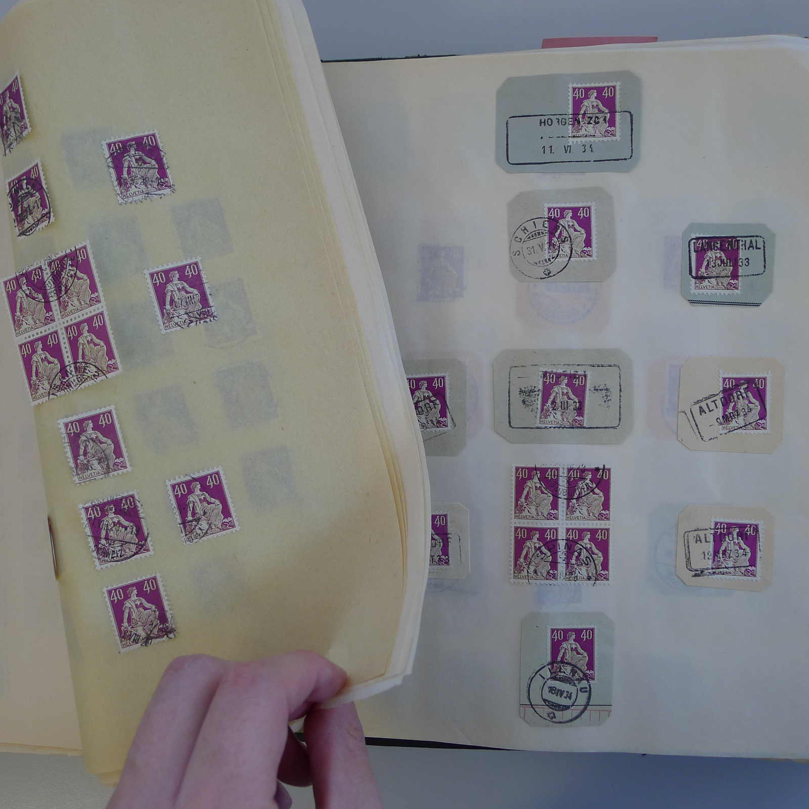 Image 27 for lot number 0004103465 for Luzernerraute Webshop 