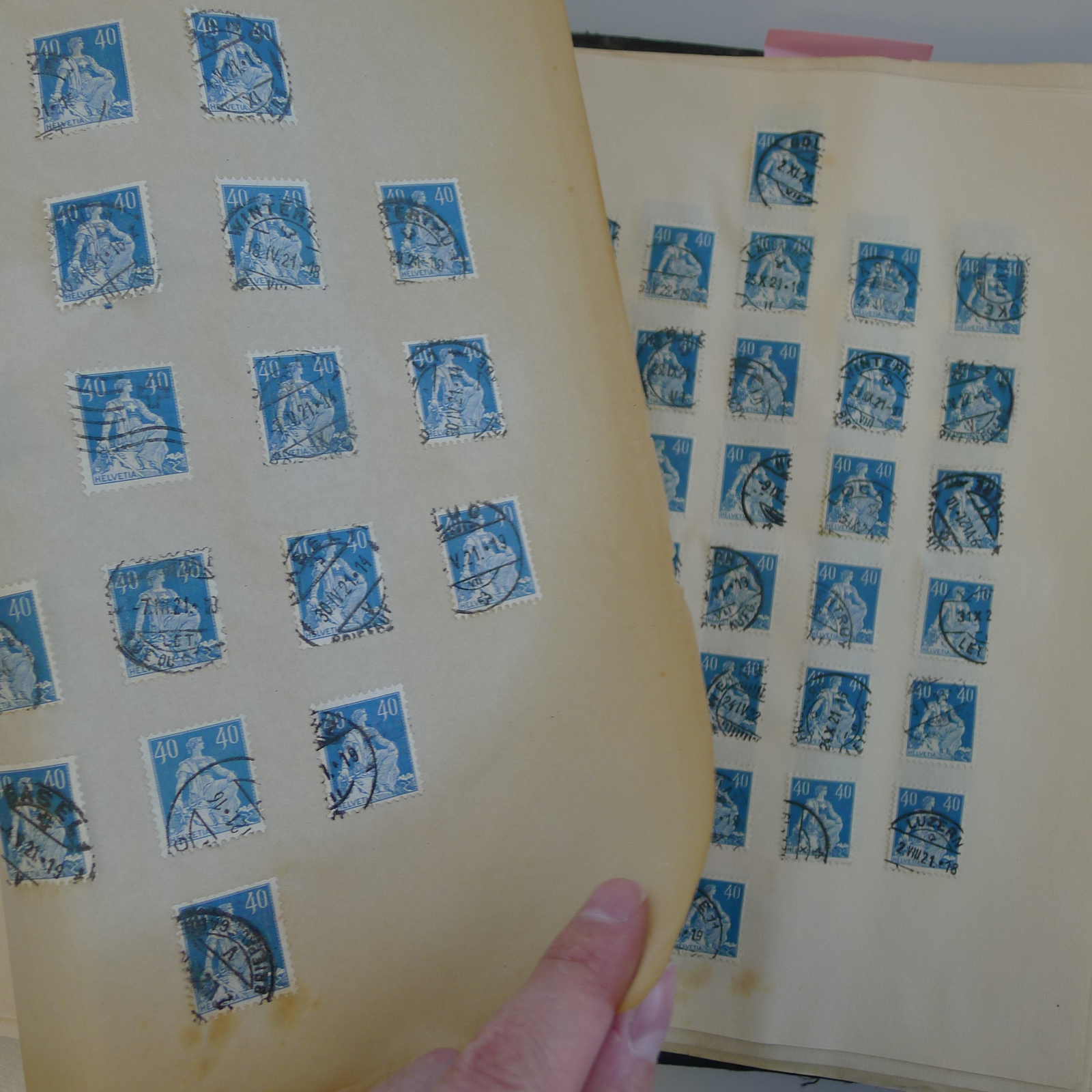 Image 30 for lot number 0004103465 for Luzernerraute Webshop 